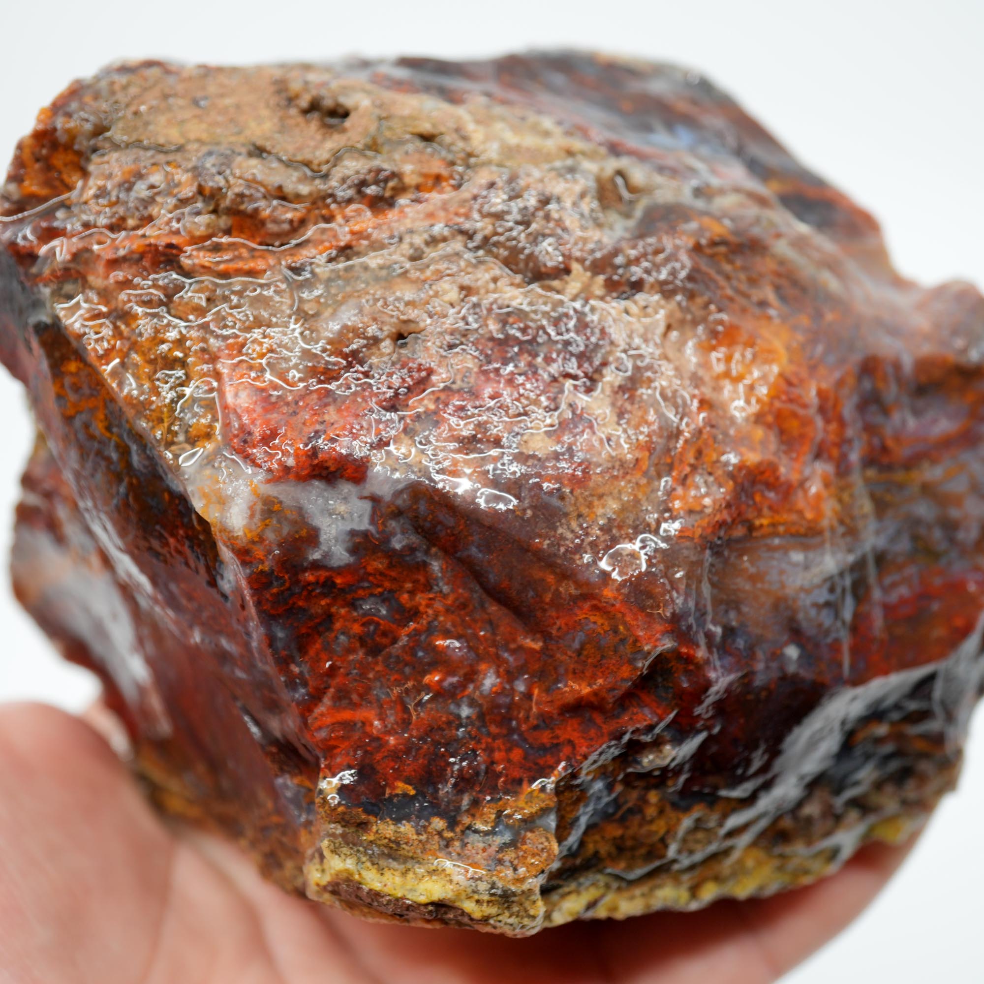 San Carlos Agate Rough - Golden Moss with Pink and Blue