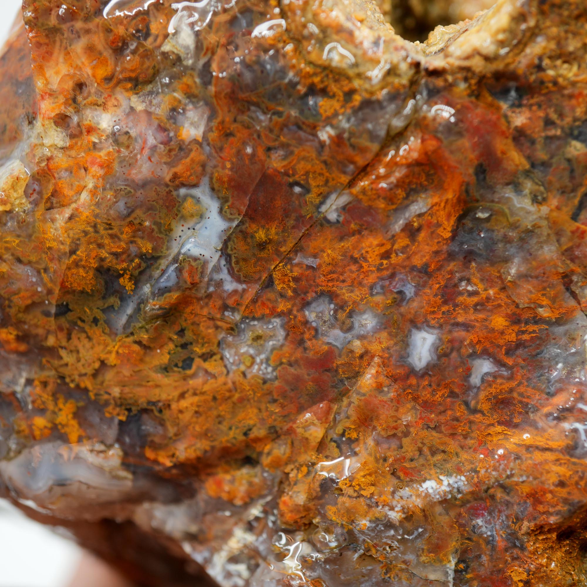 San Carlos Agate Rough - Multi Color Moss Cutter