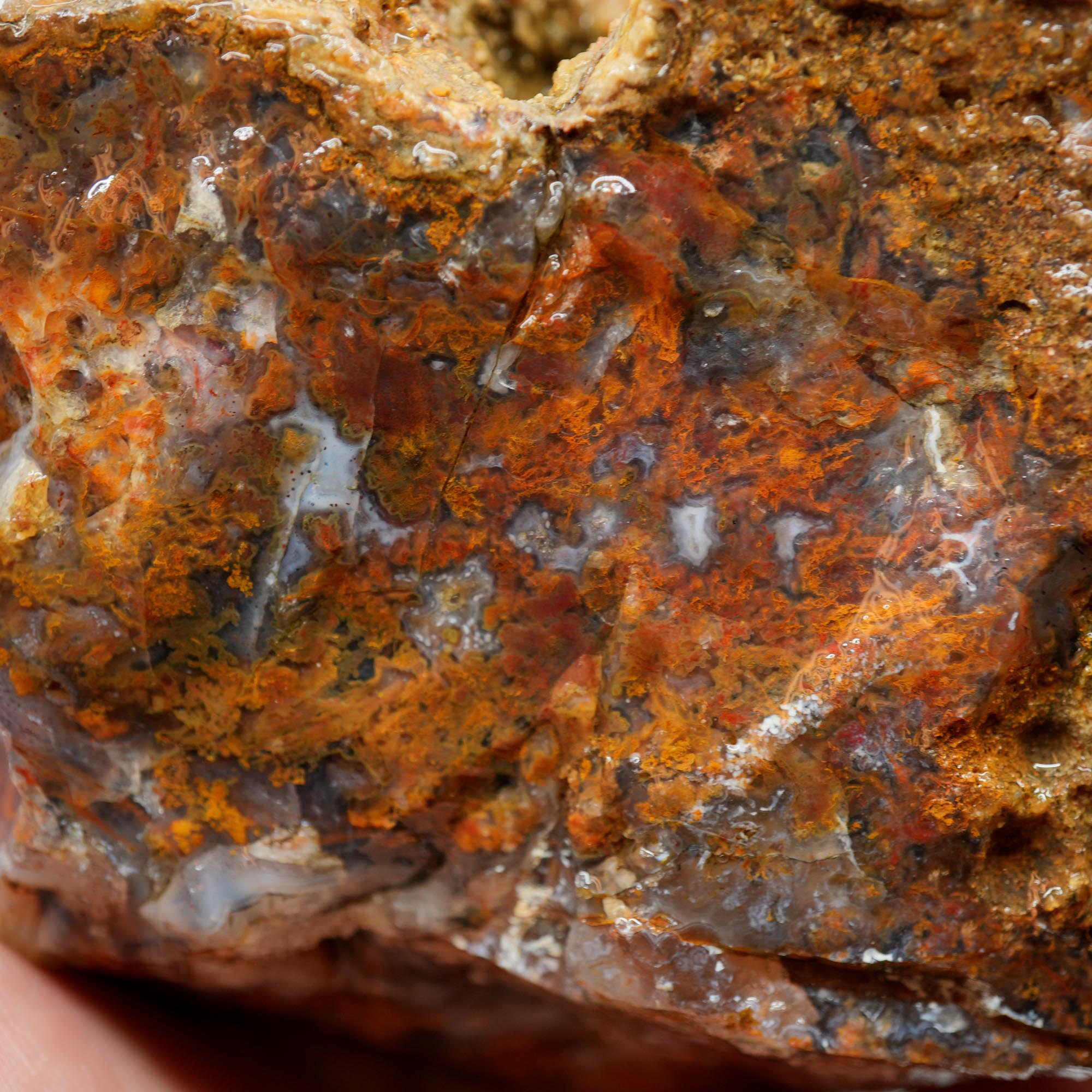 San Carlos Agate Rough - Multi Color Moss Cutter