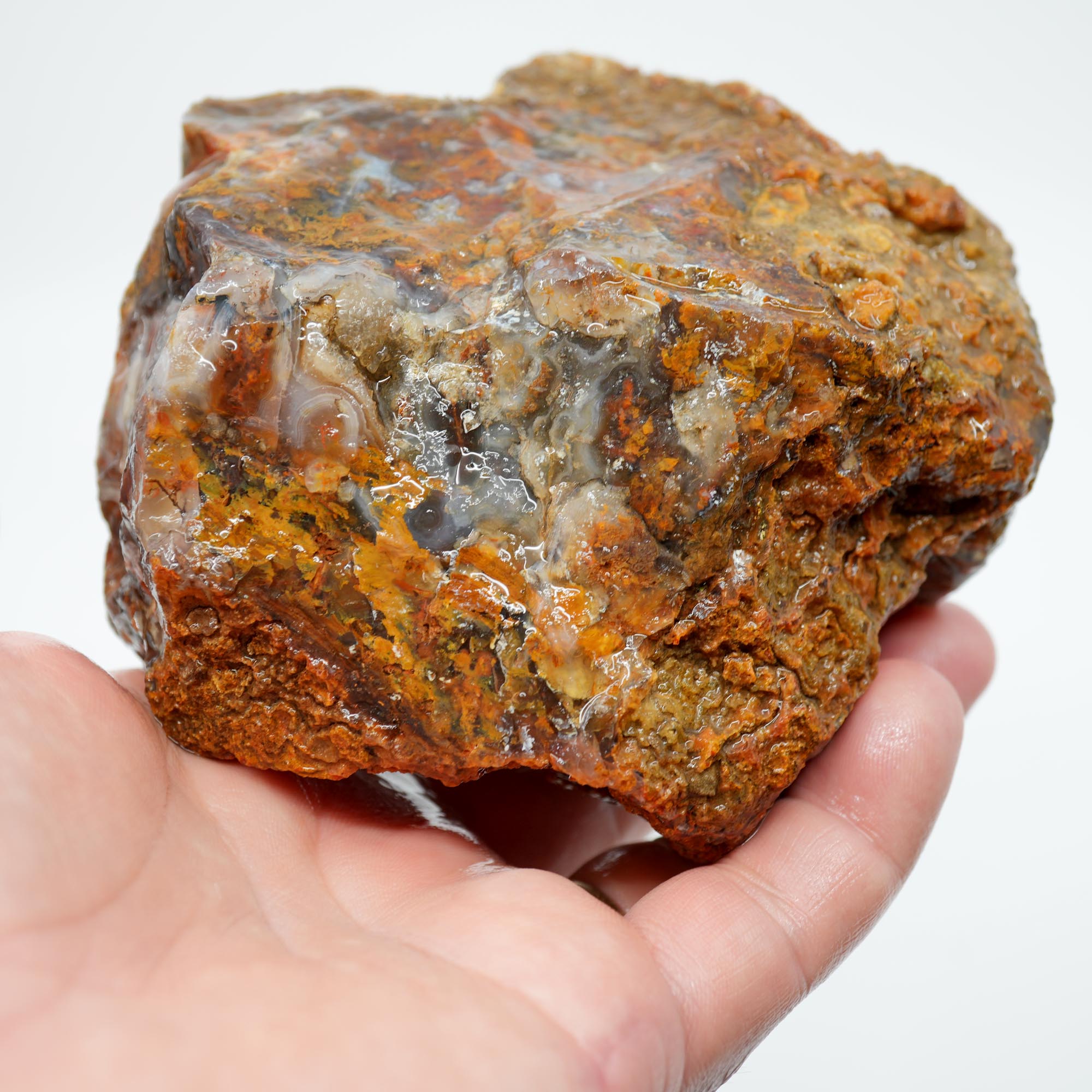 San Carlos Agate Rough - Multi Color Moss Cutter