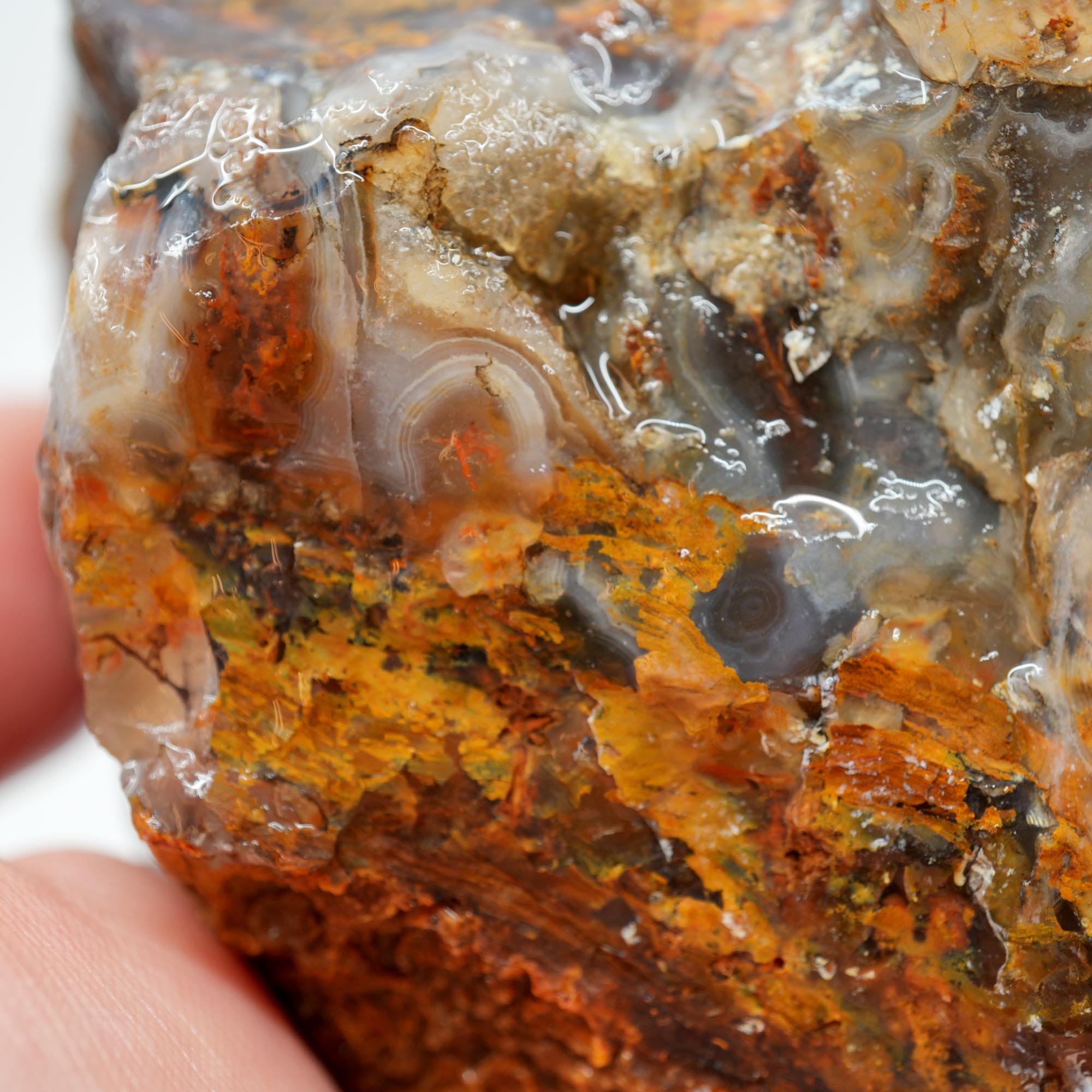 San Carlos Agate Rough - Multi Color Moss Cutter