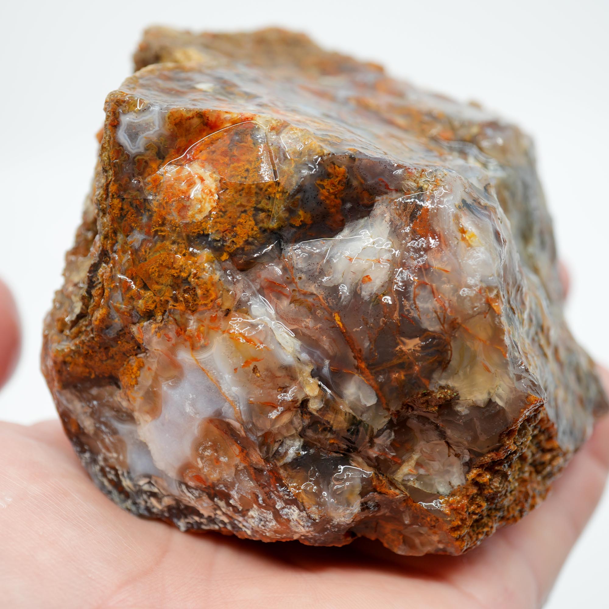 San Carlos Agate Rough - Multi Color Moss Cutter