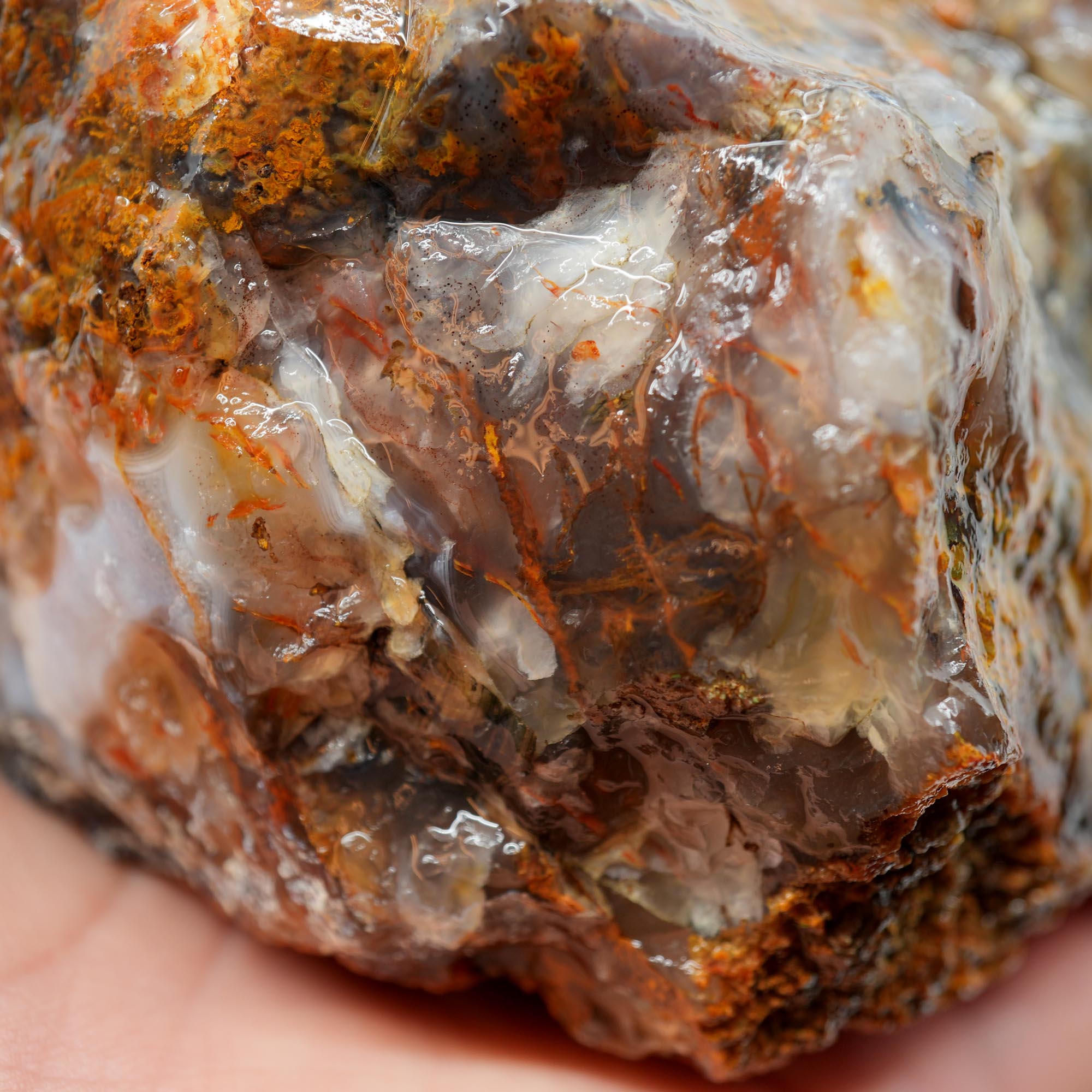 San Carlos Agate Rough - Multi Color Moss Cutter