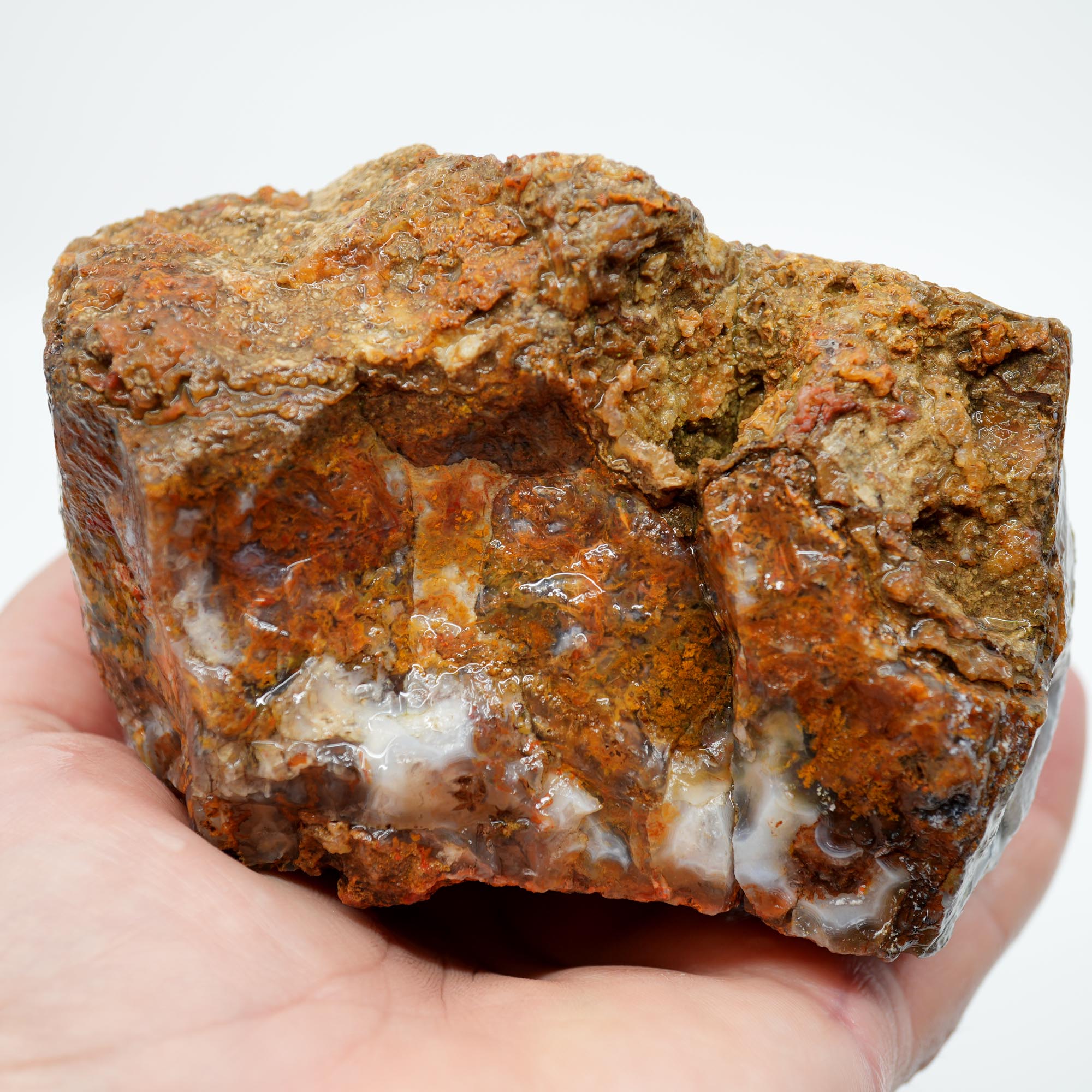 San Carlos Agate Rough - Multi Color Moss Cutter
