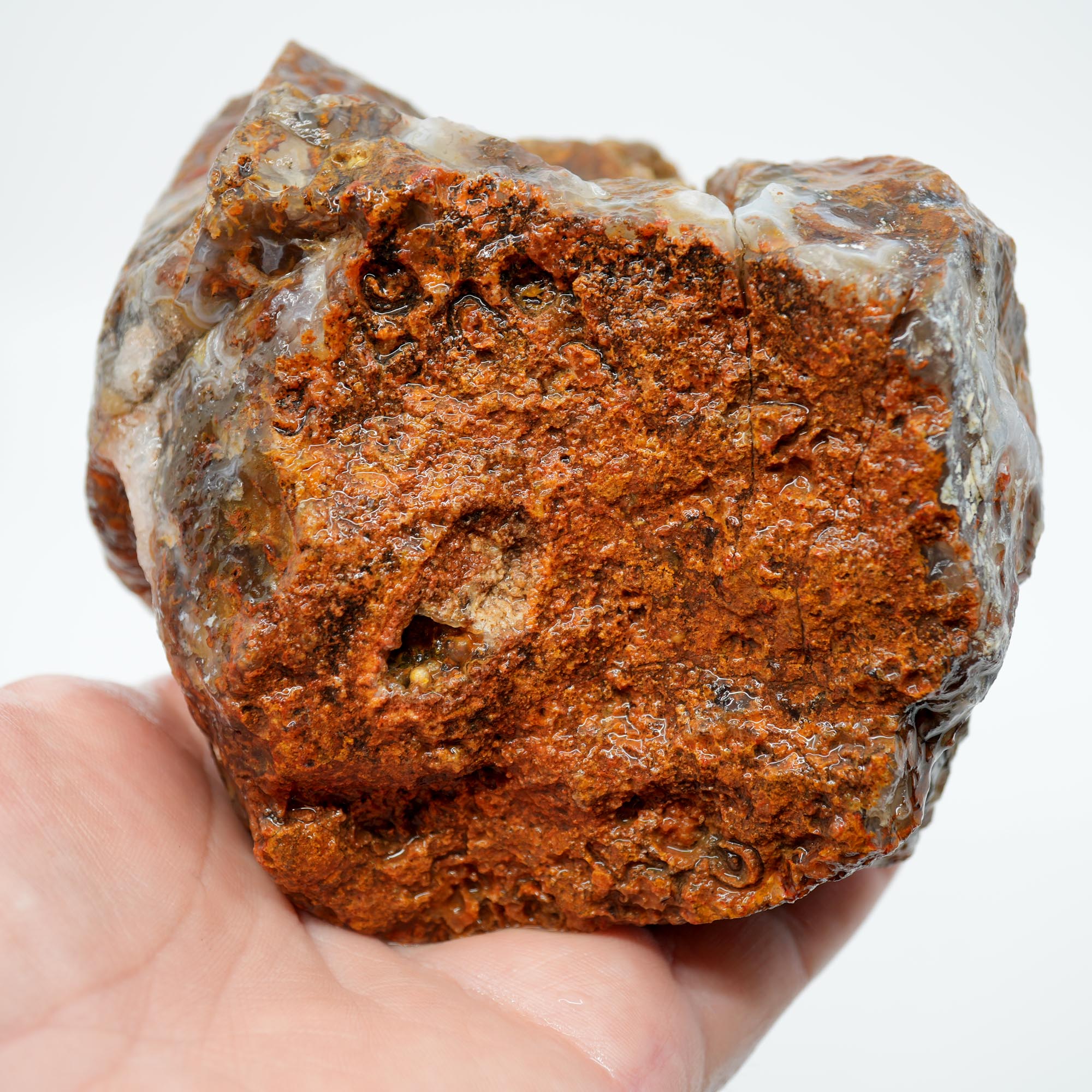 San Carlos Agate Rough - Multi Color Moss Cutter