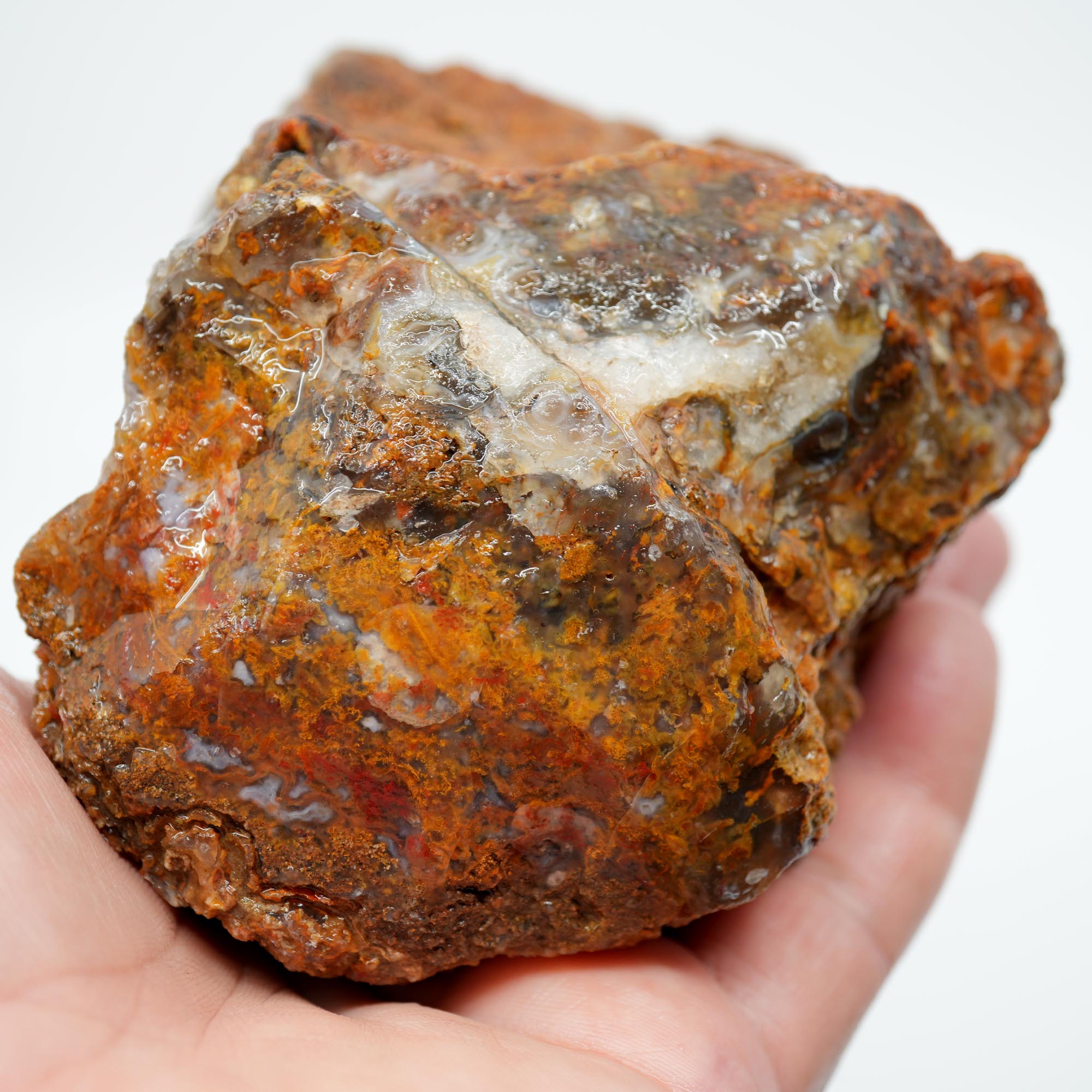 San Carlos Agate Rough - Multi Color Moss Cutter