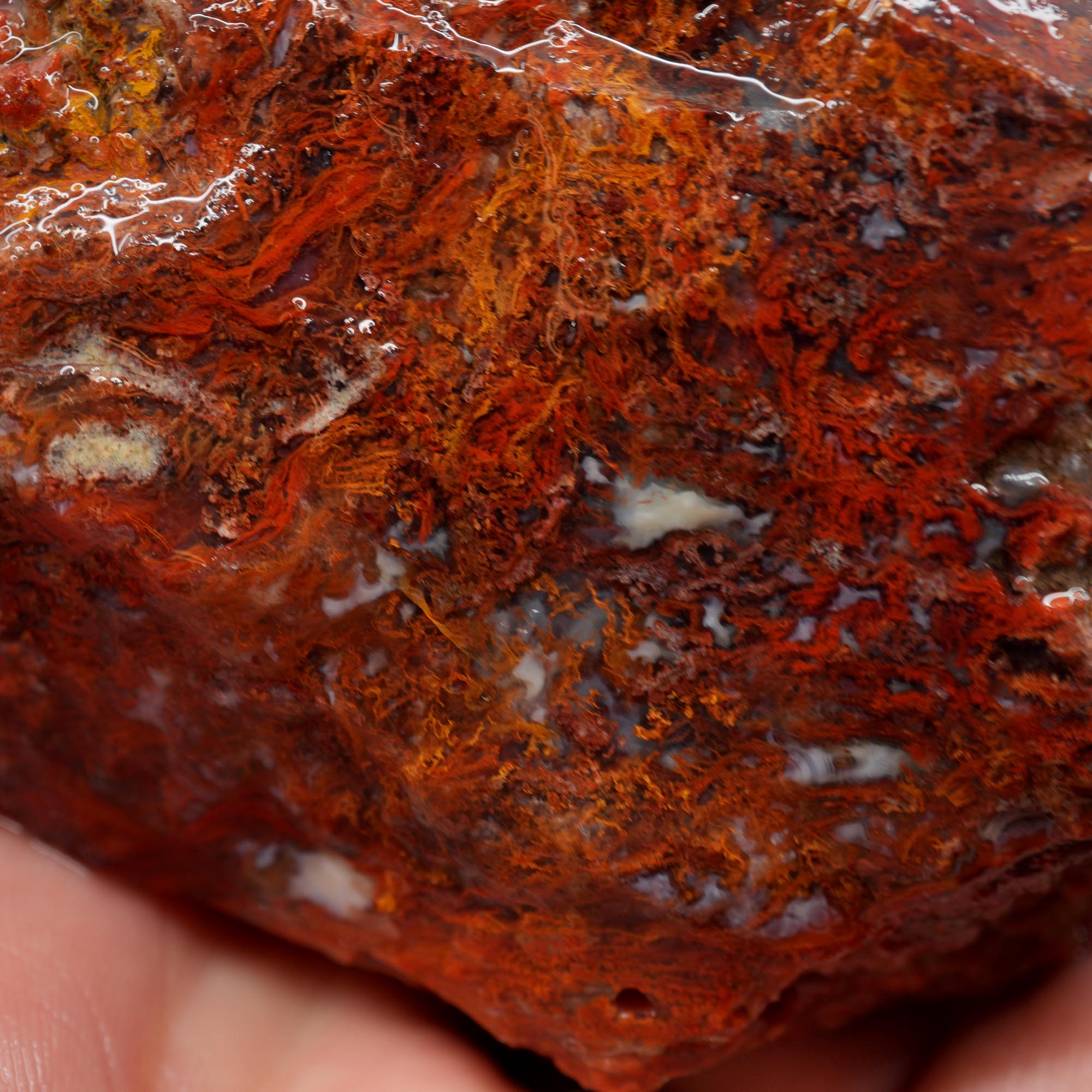 San Carlos Agate Rough - Well Defined Red Moss Trimmer