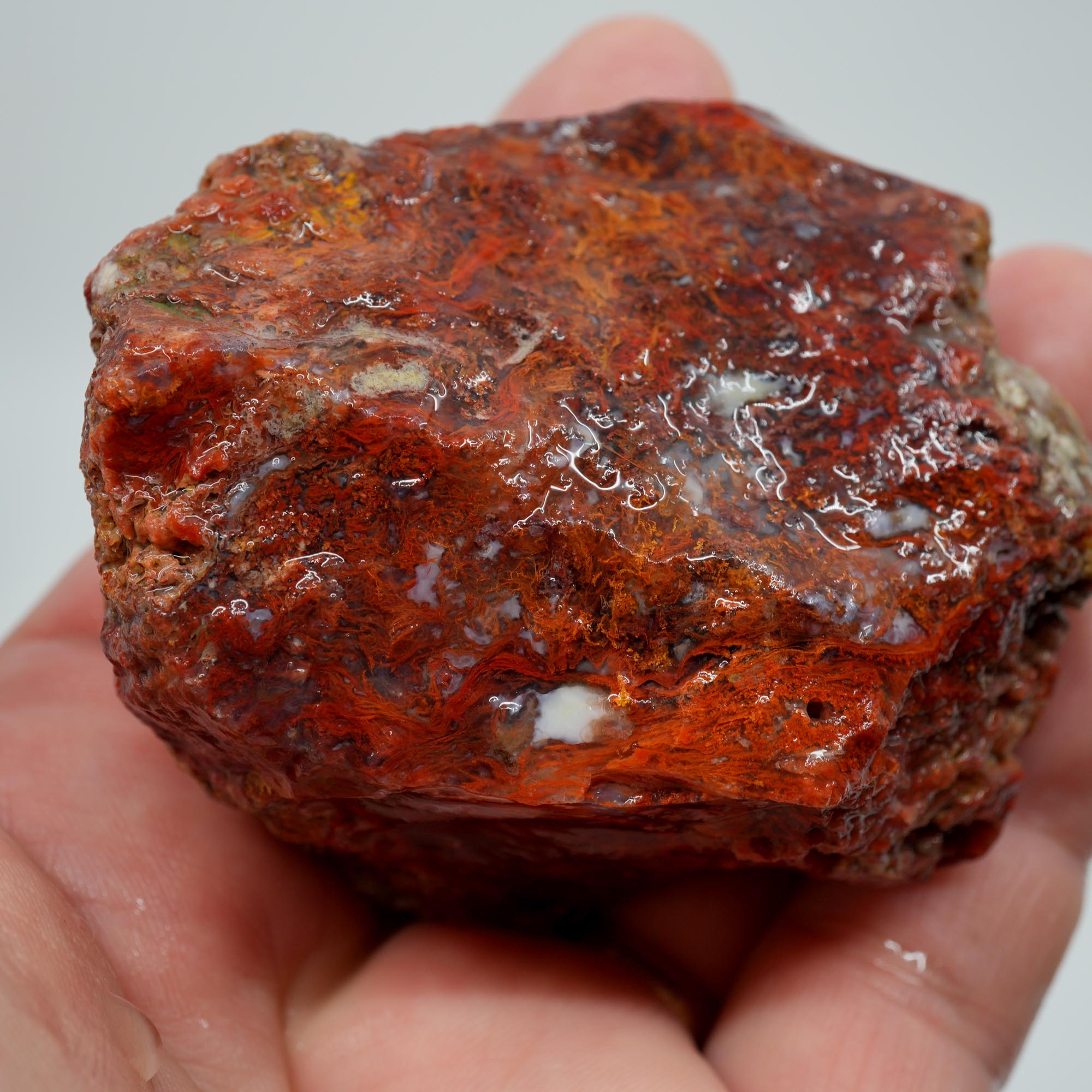 San Carlos Agate Rough - Well Defined Red Moss Trimmer