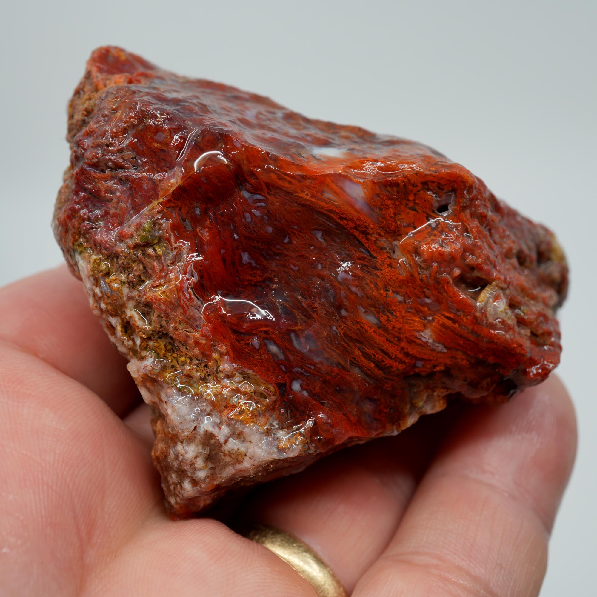 San Carlos Agate Rough - Well Defined Red Moss Trimmer