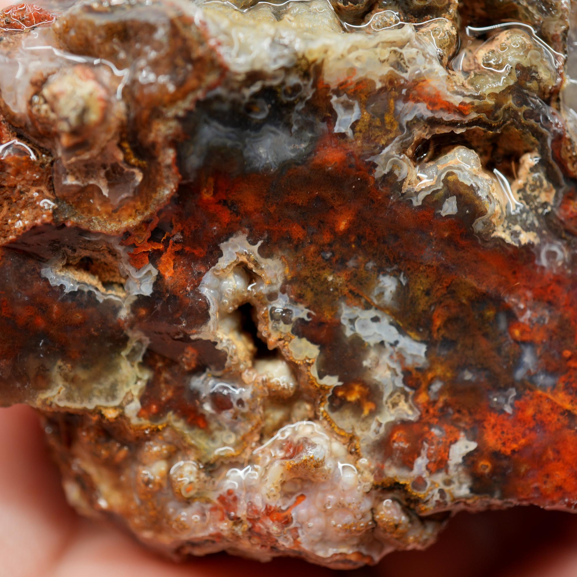 San Carlos Agate Rough - High Contrast Red Moss on Midnight Sky