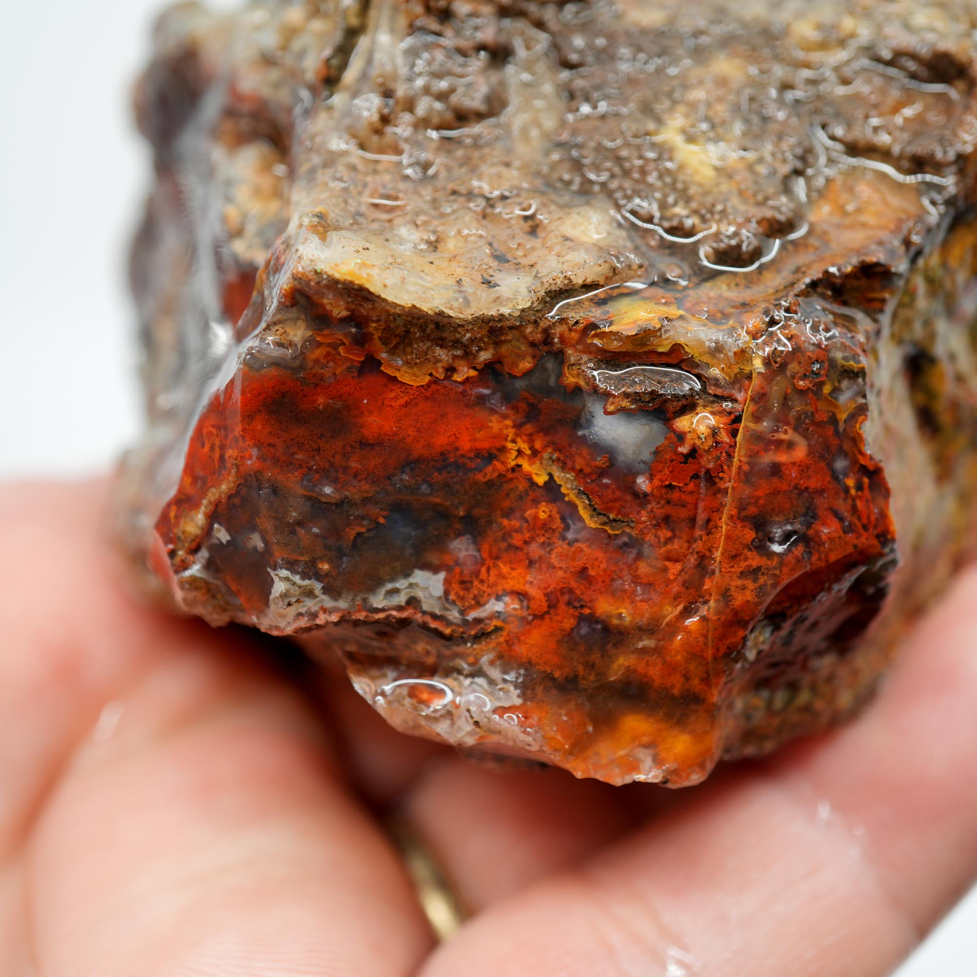San Carlos Agate Rough - High Contrast Red Moss on Midnight Sky