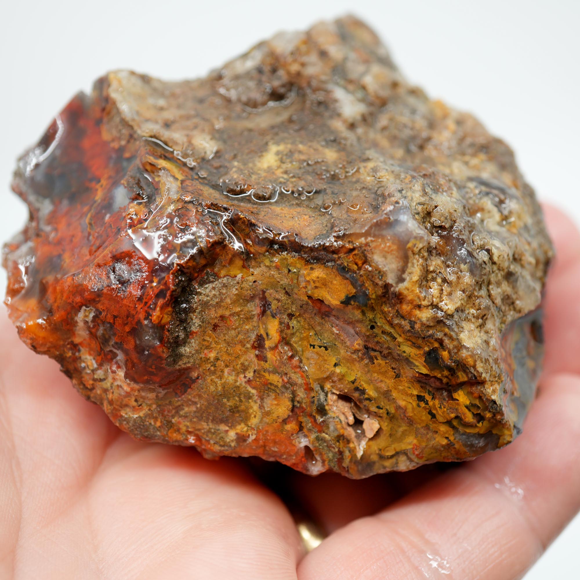 San Carlos Agate Rough - High Contrast Red Moss on Midnight Sky