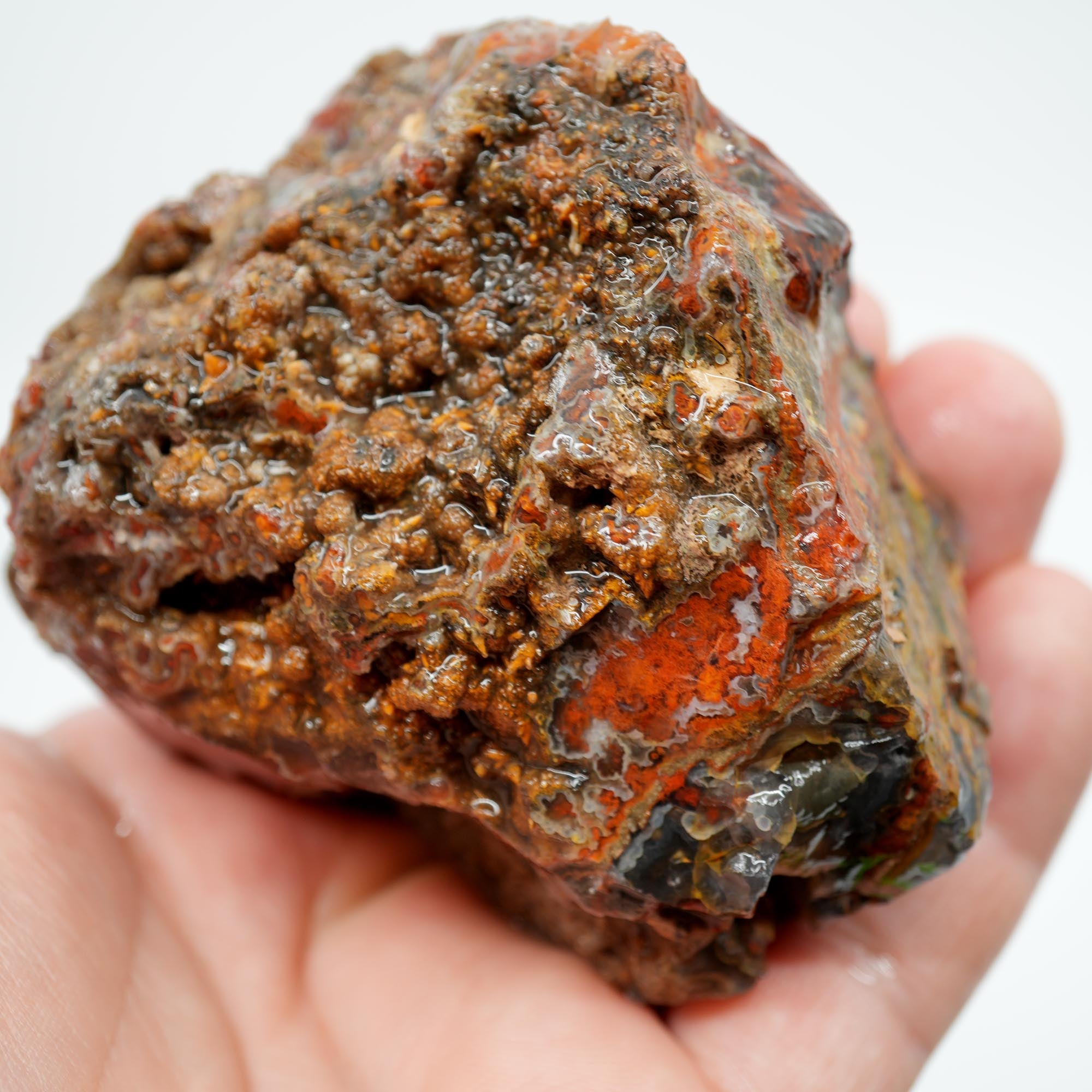San Carlos Agate Rough - High Contrast Red Moss on Midnight Sky