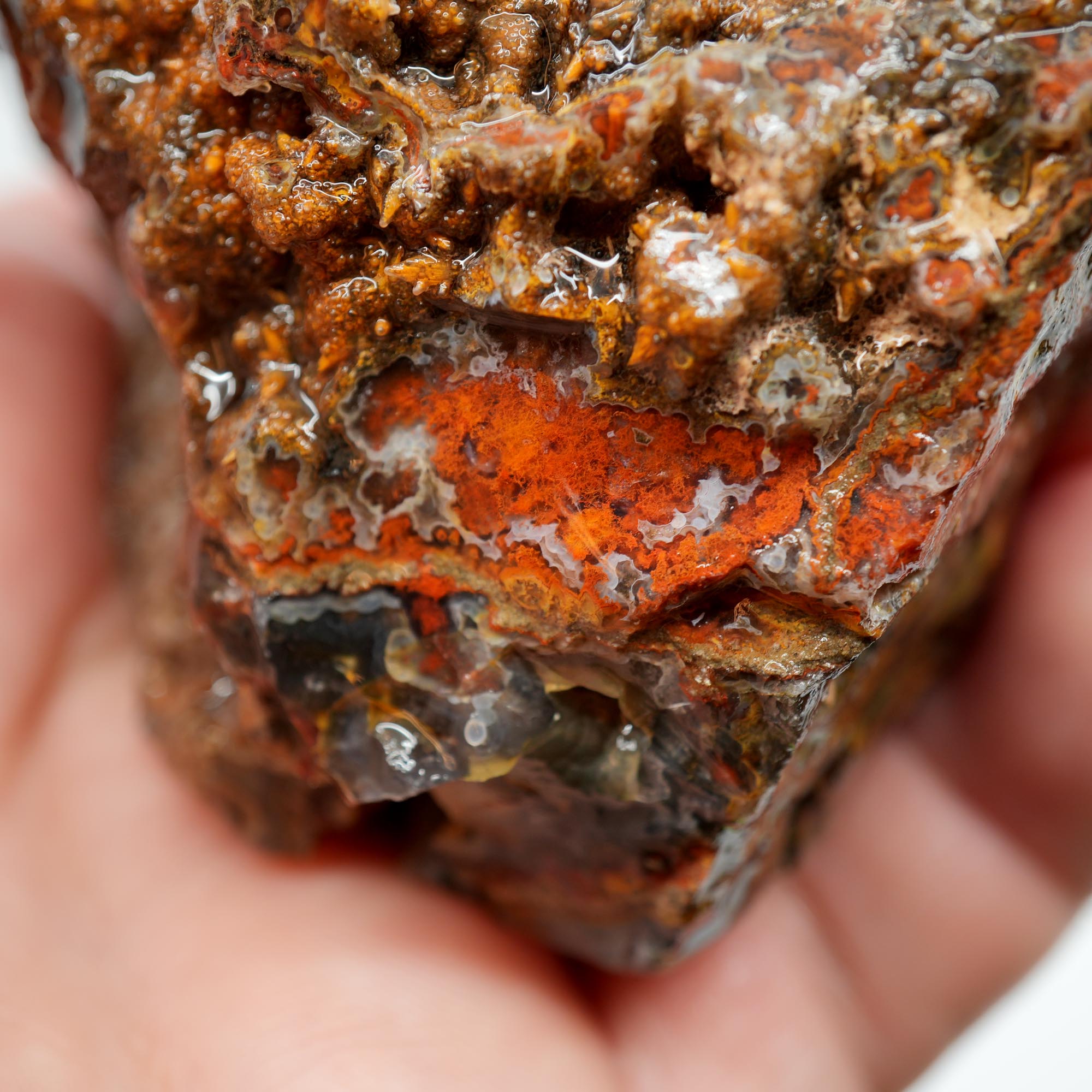 San Carlos Agate Rough - High Contrast Red Moss on Midnight Sky