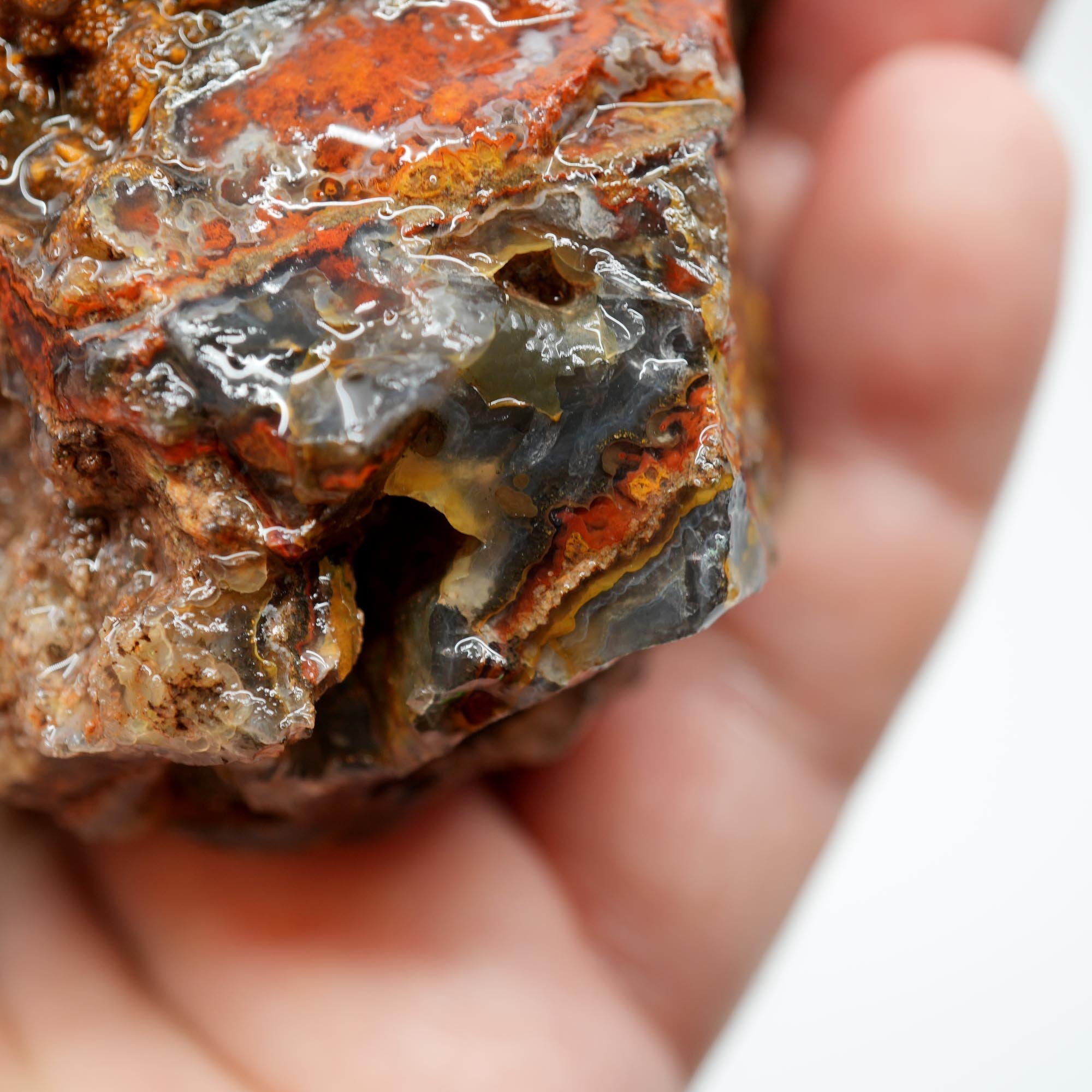 San Carlos Agate Rough - High Contrast Red Moss on Midnight Sky