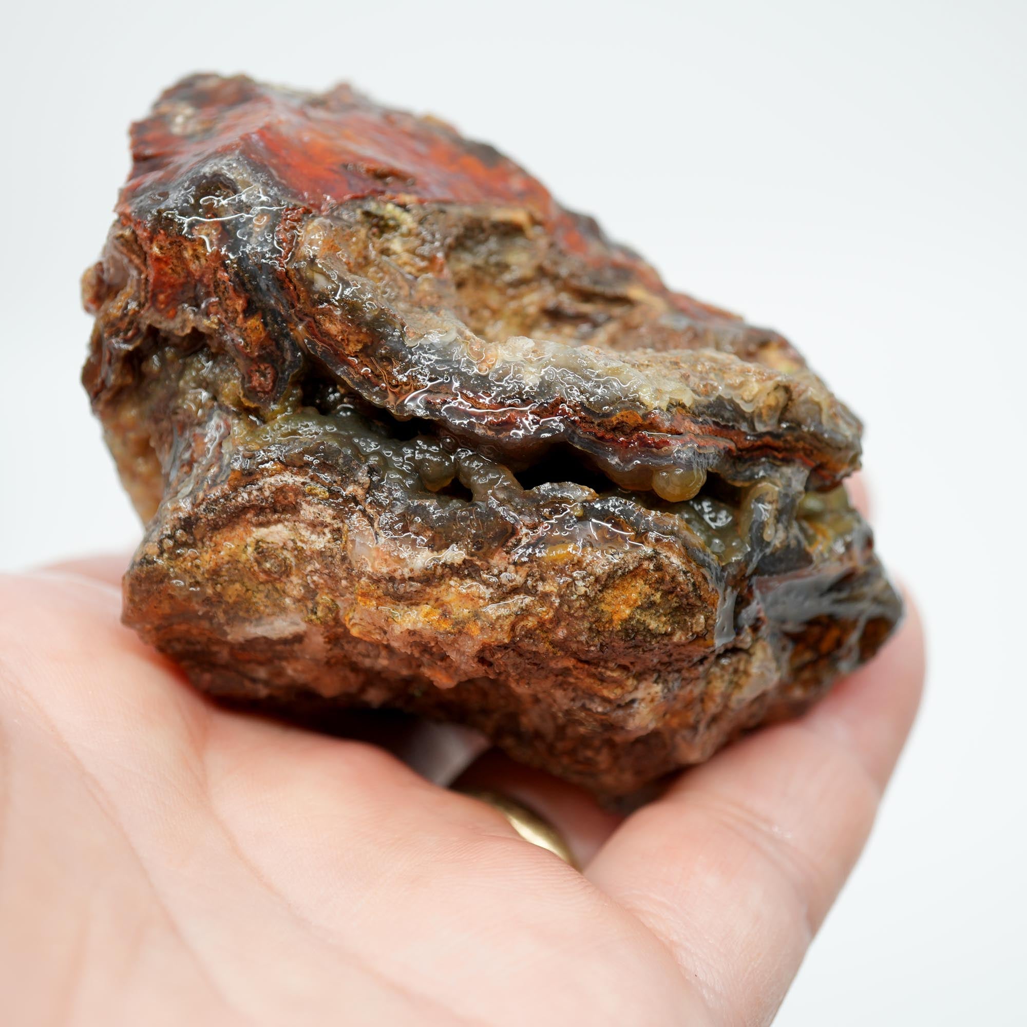 San Carlos Agate Rough - High Contrast Red Moss on Midnight Sky