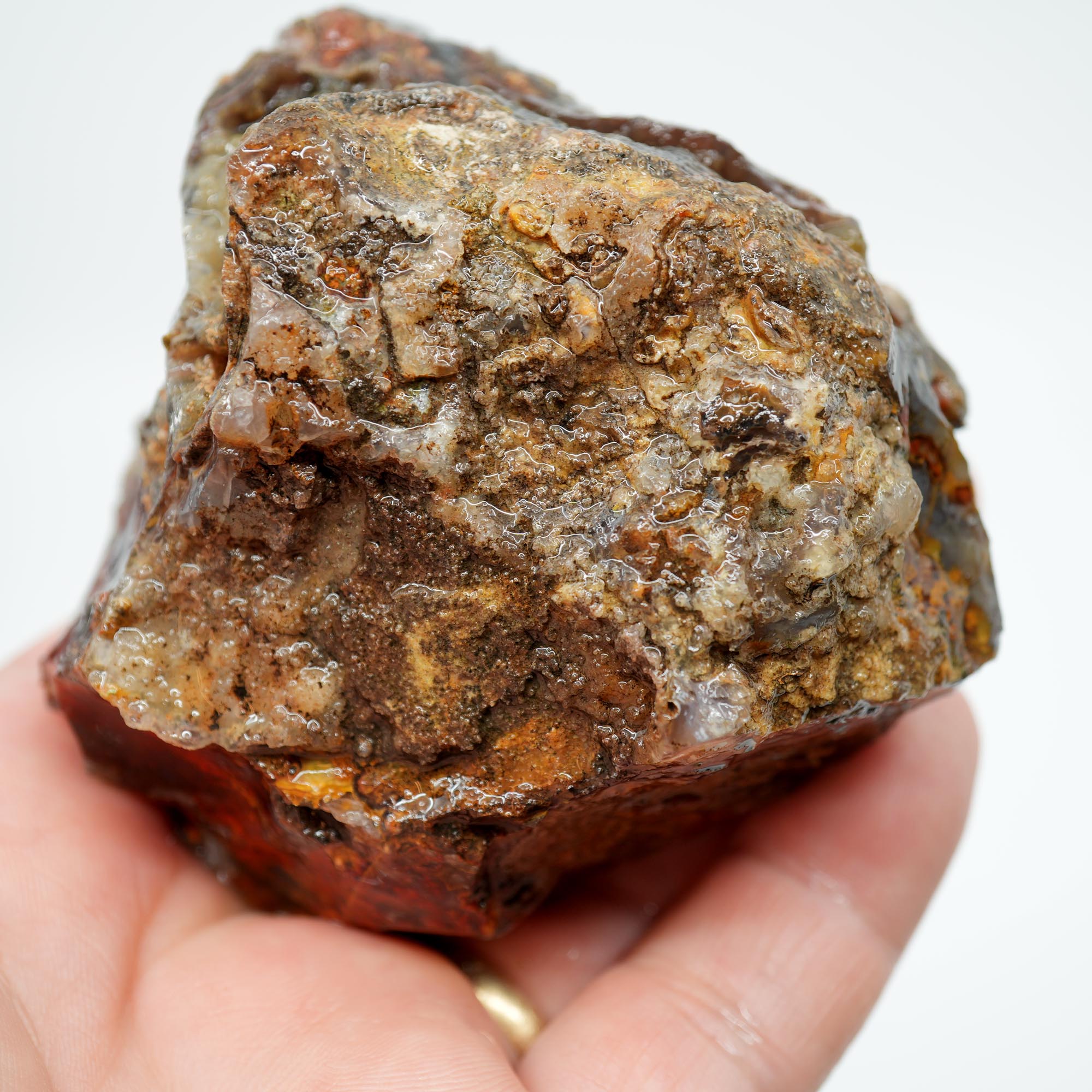 San Carlos Agate Rough - High Contrast Red Moss on Midnight Sky
