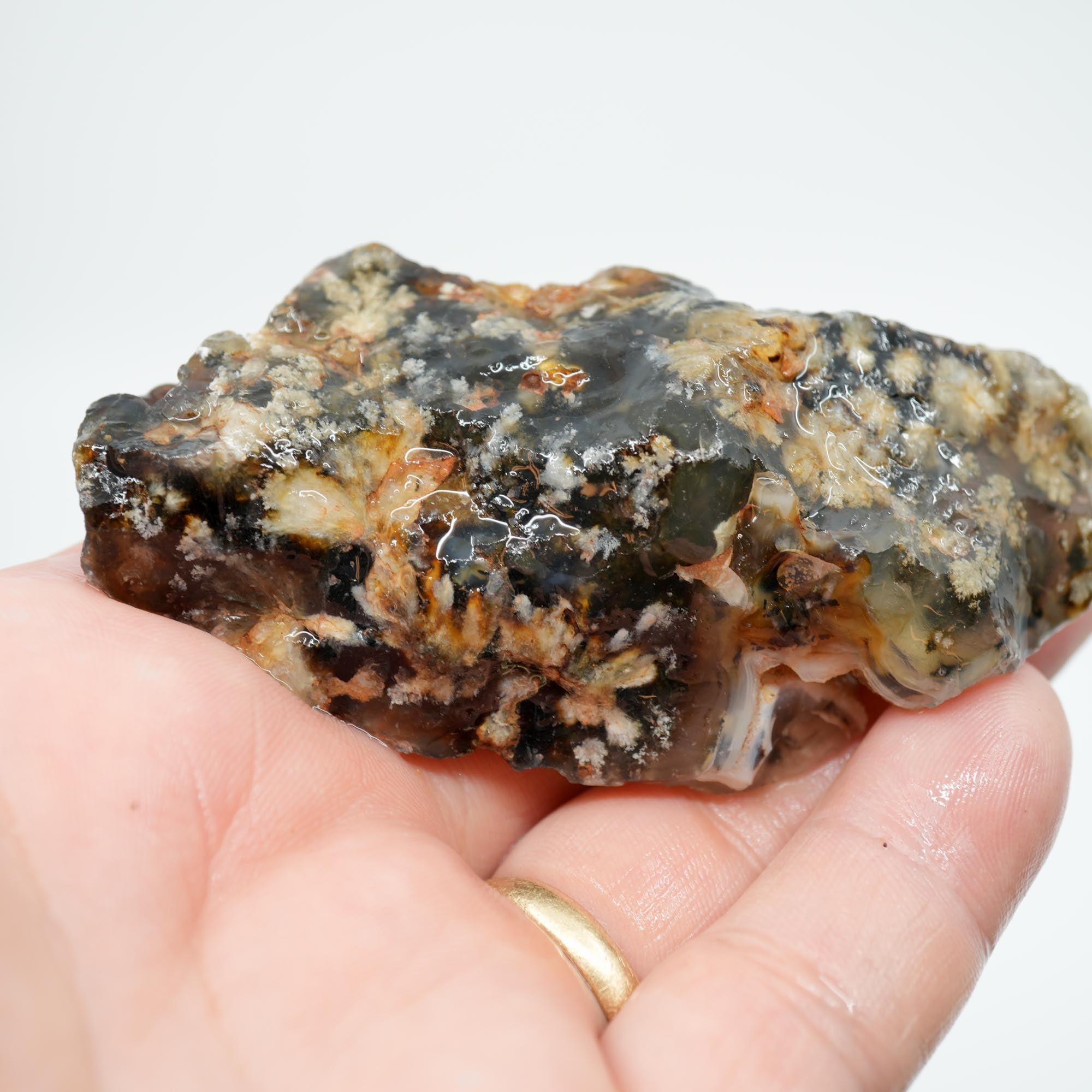 Ojinaga Plume Agate Rough - Winter Burst Plume Trimmer