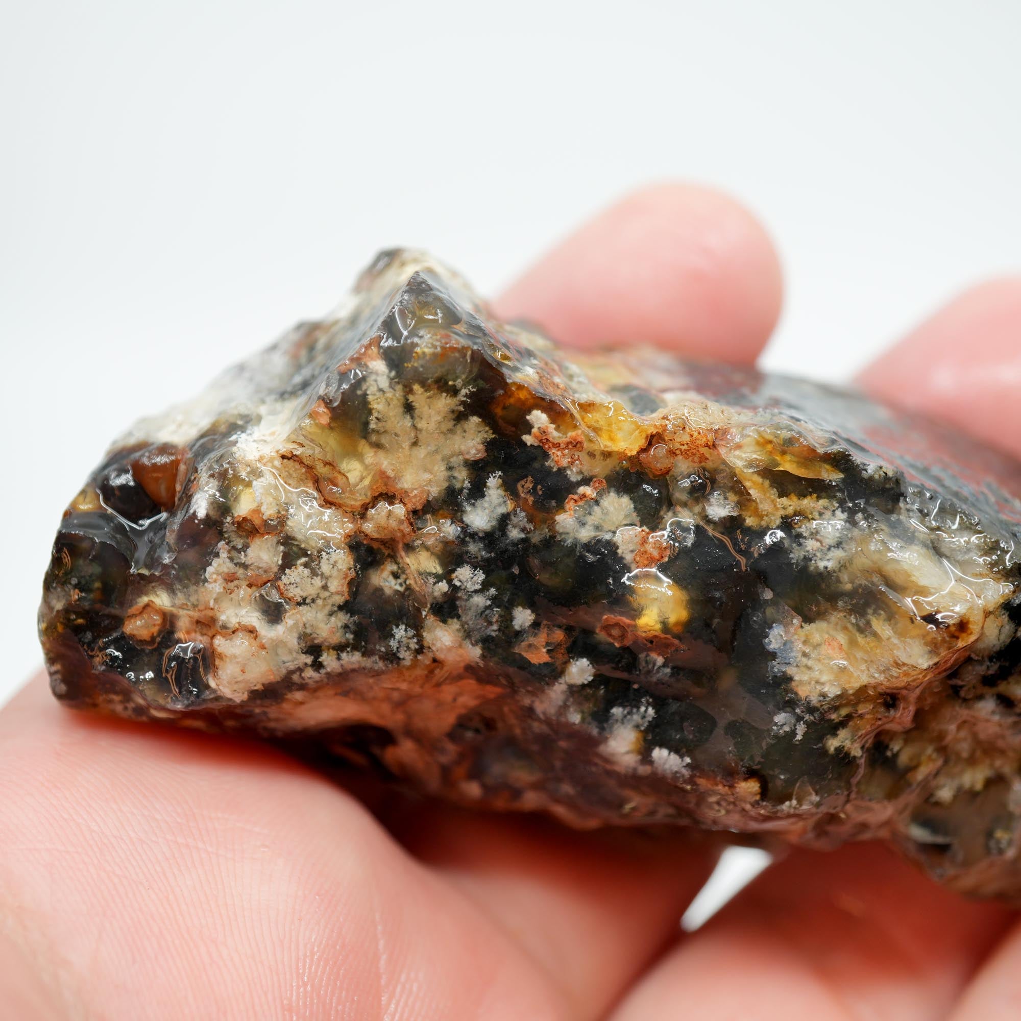 Ojinaga Plume Agate Rough - Winter Burst Plume Trimmer