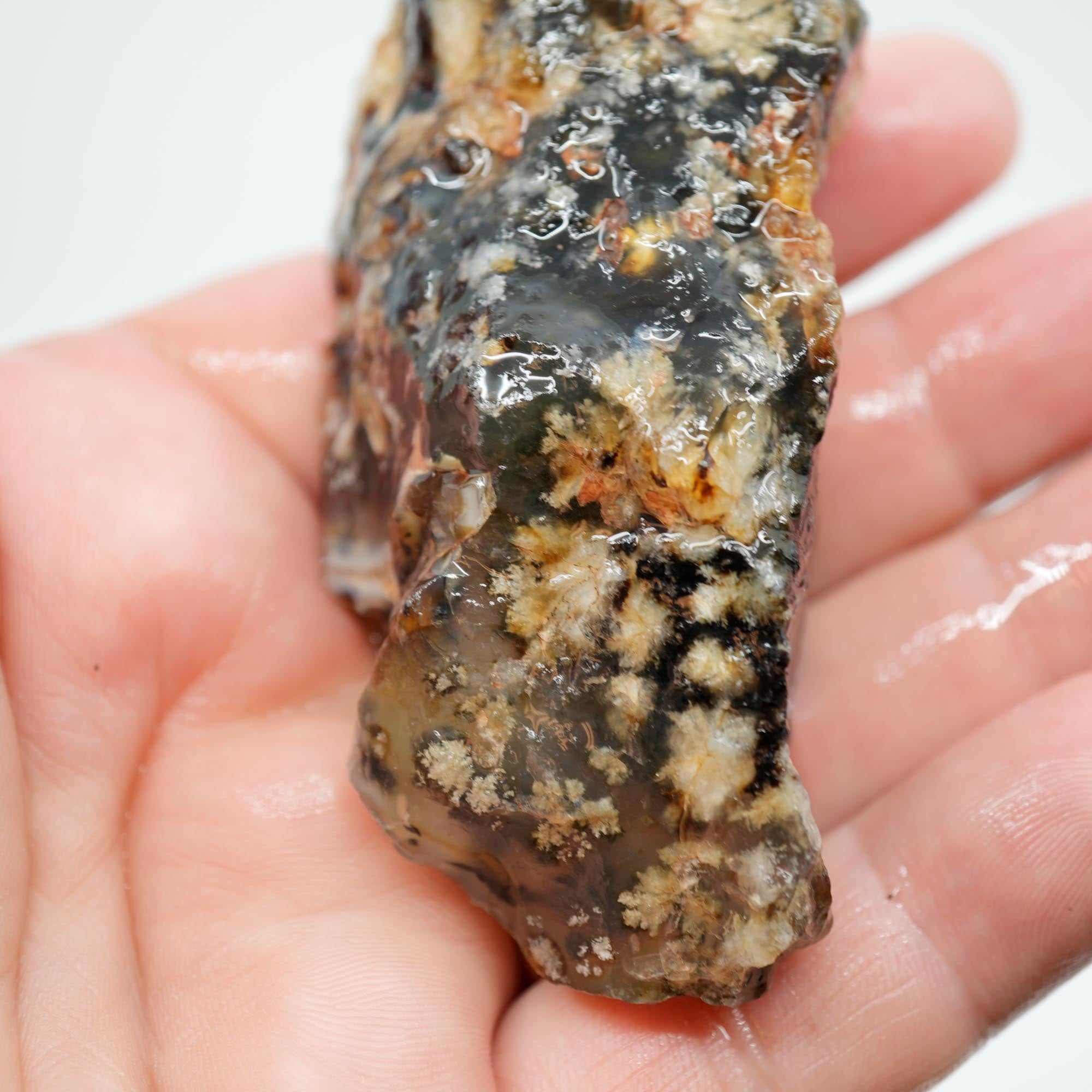 Ojinaga Plume Agate Rough - Winter Burst Plume Trimmer