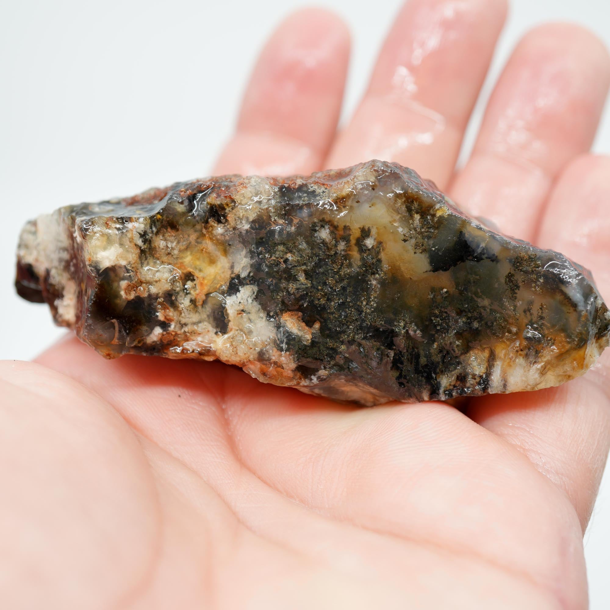 Ojinaga Plume Agate Rough - Winter Burst Plume Trimmer