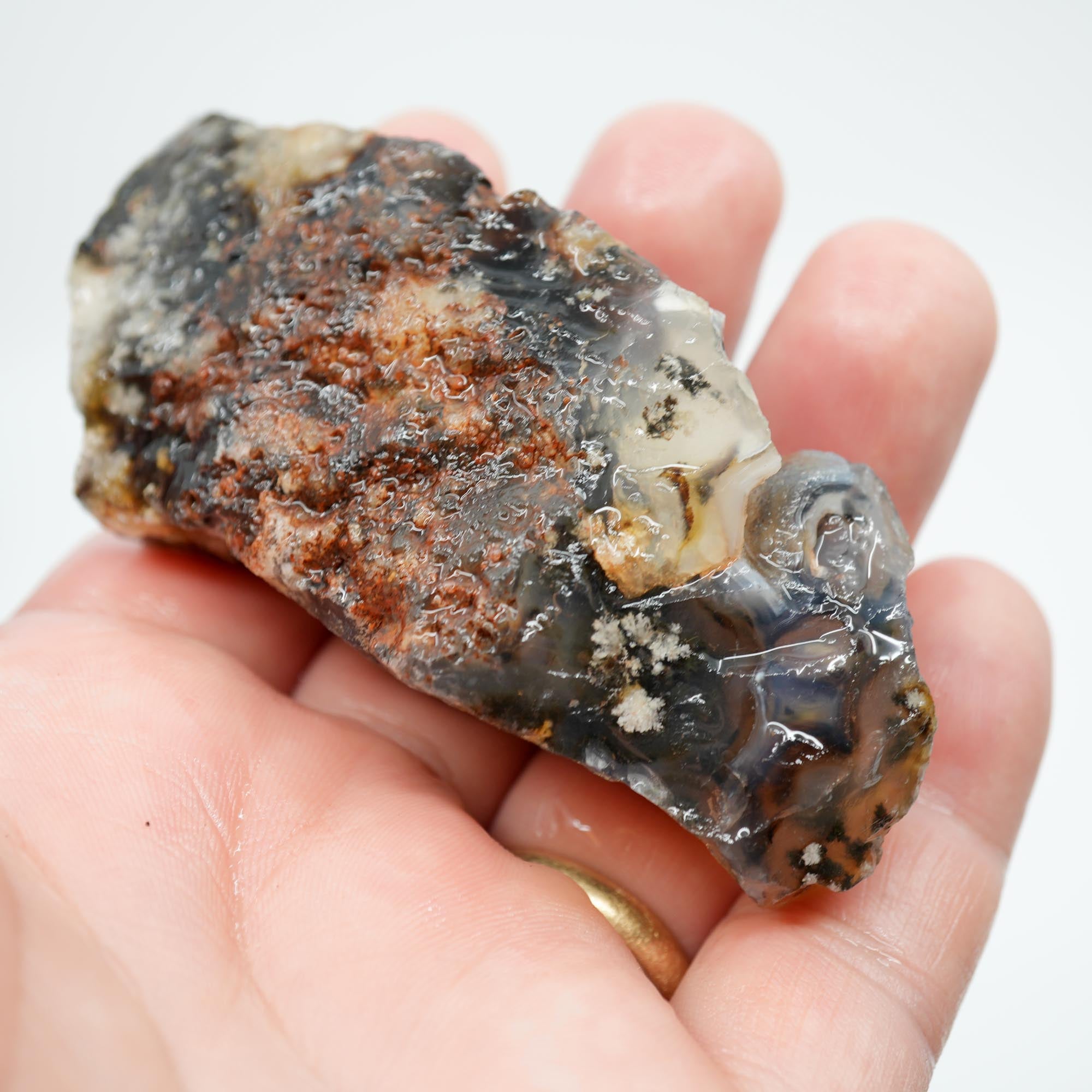 Ojinaga Plume Agate Rough - Winter Burst Plume Trimmer