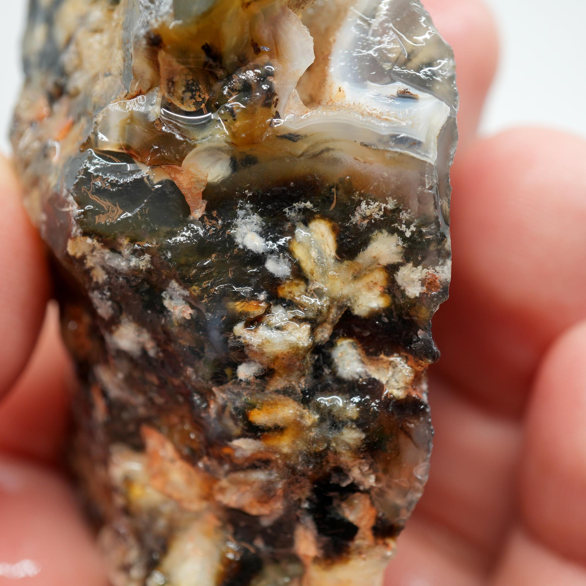 Ojinaga Plume Agate Rough - Winter Burst Plume Trimmer