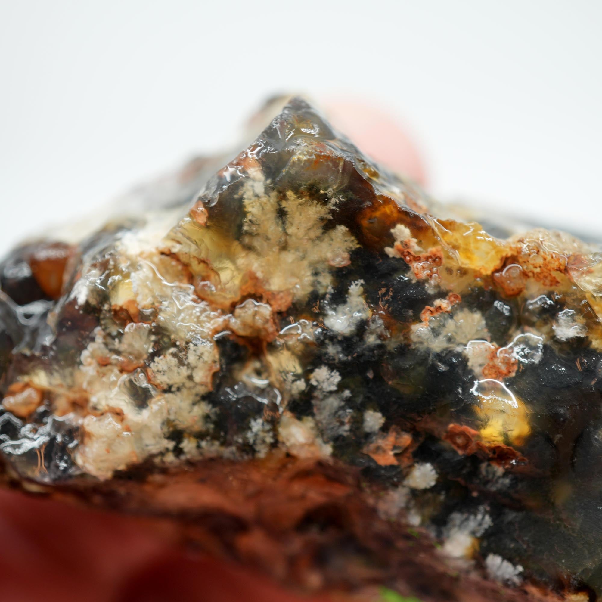 Ojinaga Plume Agate Rough - Winter Burst Plume Trimmer