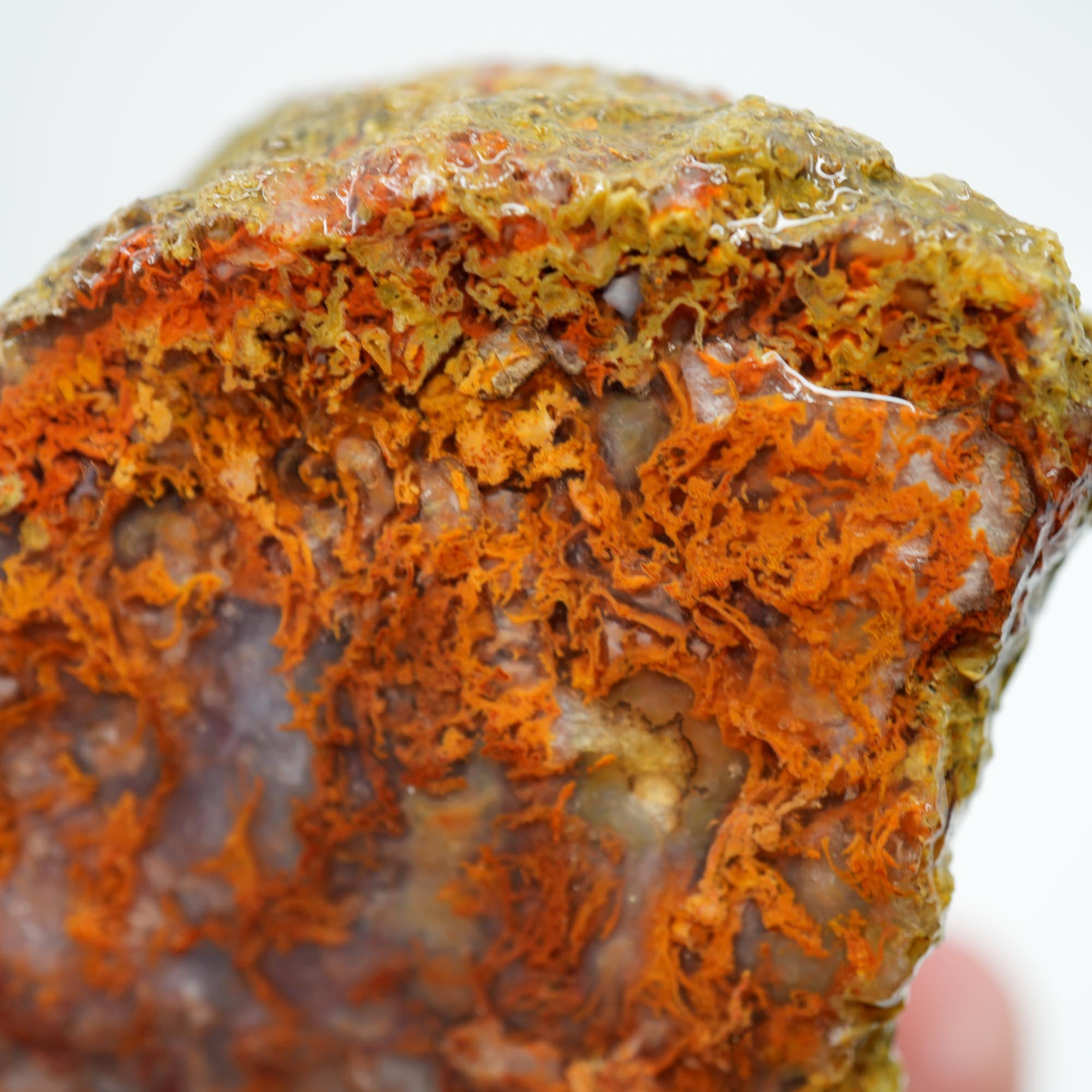 San Carlos Agate Rough - Butterscotch with Blue Agate