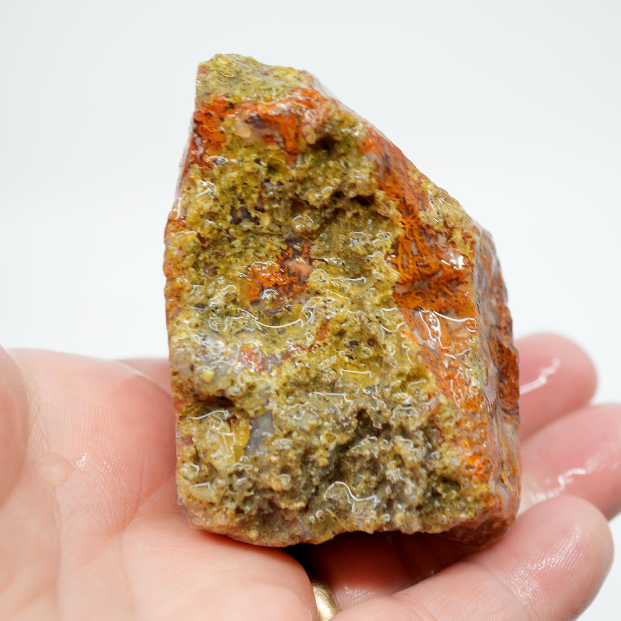 San Carlos Agate Rough - Butterscotch with Blue Agate