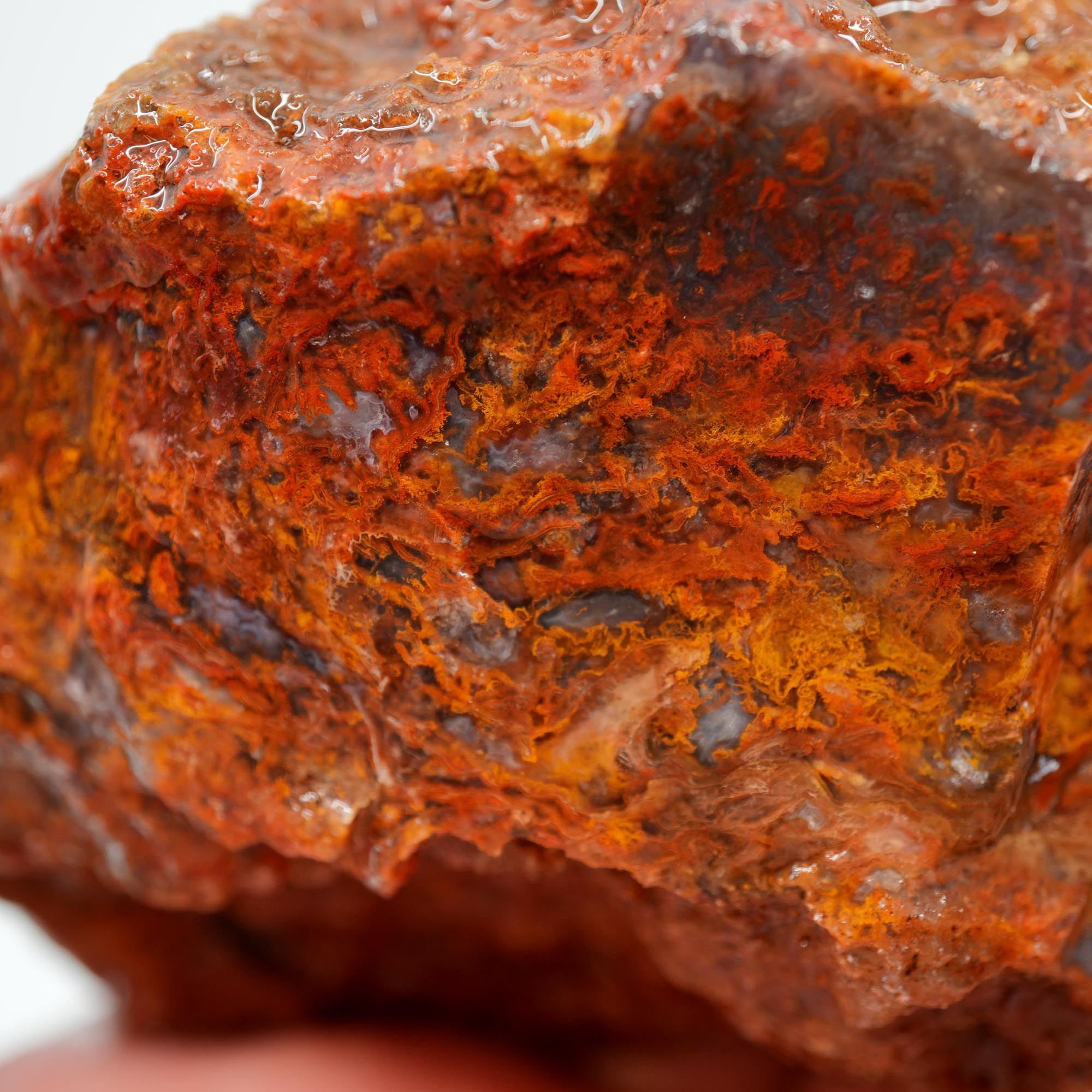 San Carlos Agate Rough - Orange Moss with Bright Red