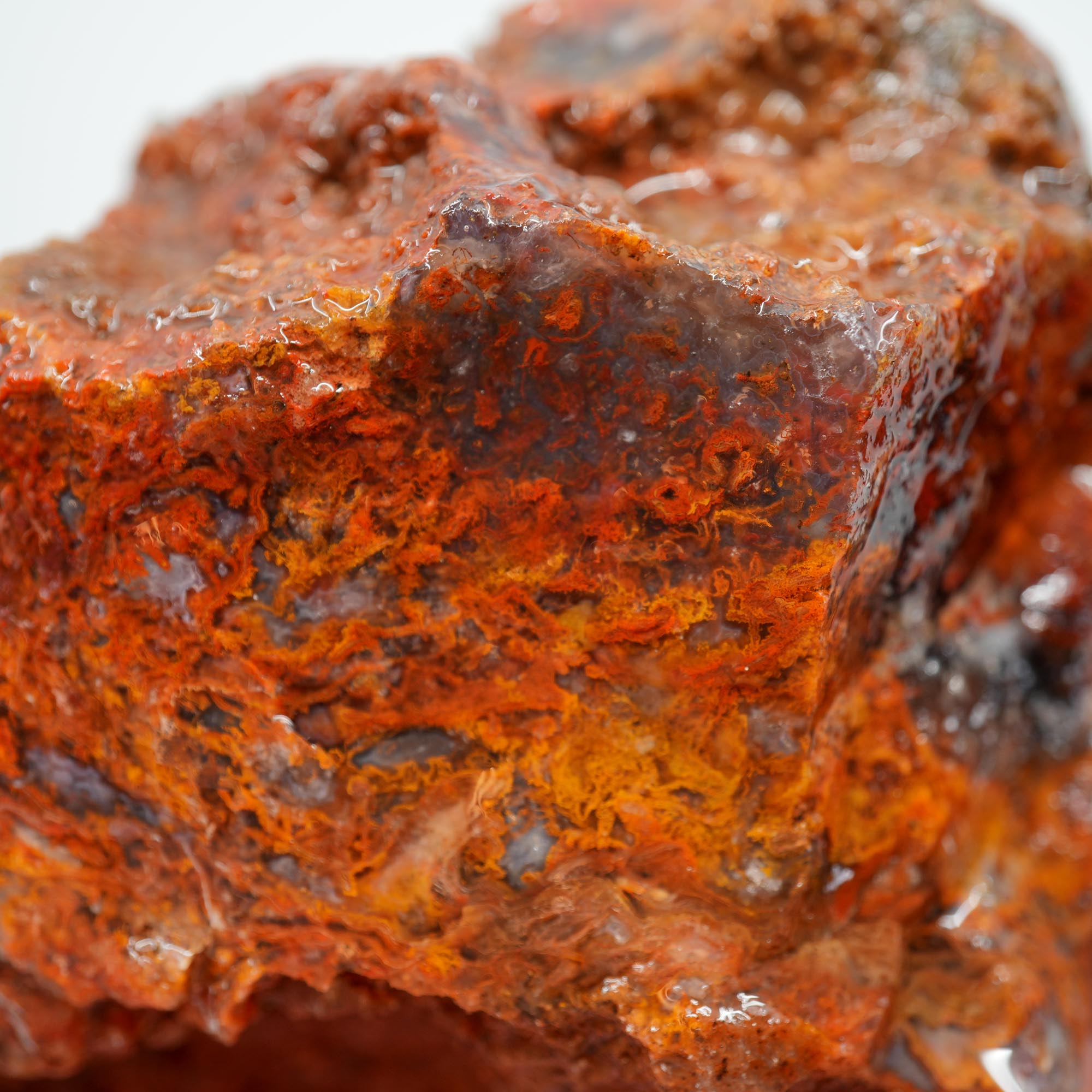 San Carlos Agate Rough - Orange Moss with Bright Red