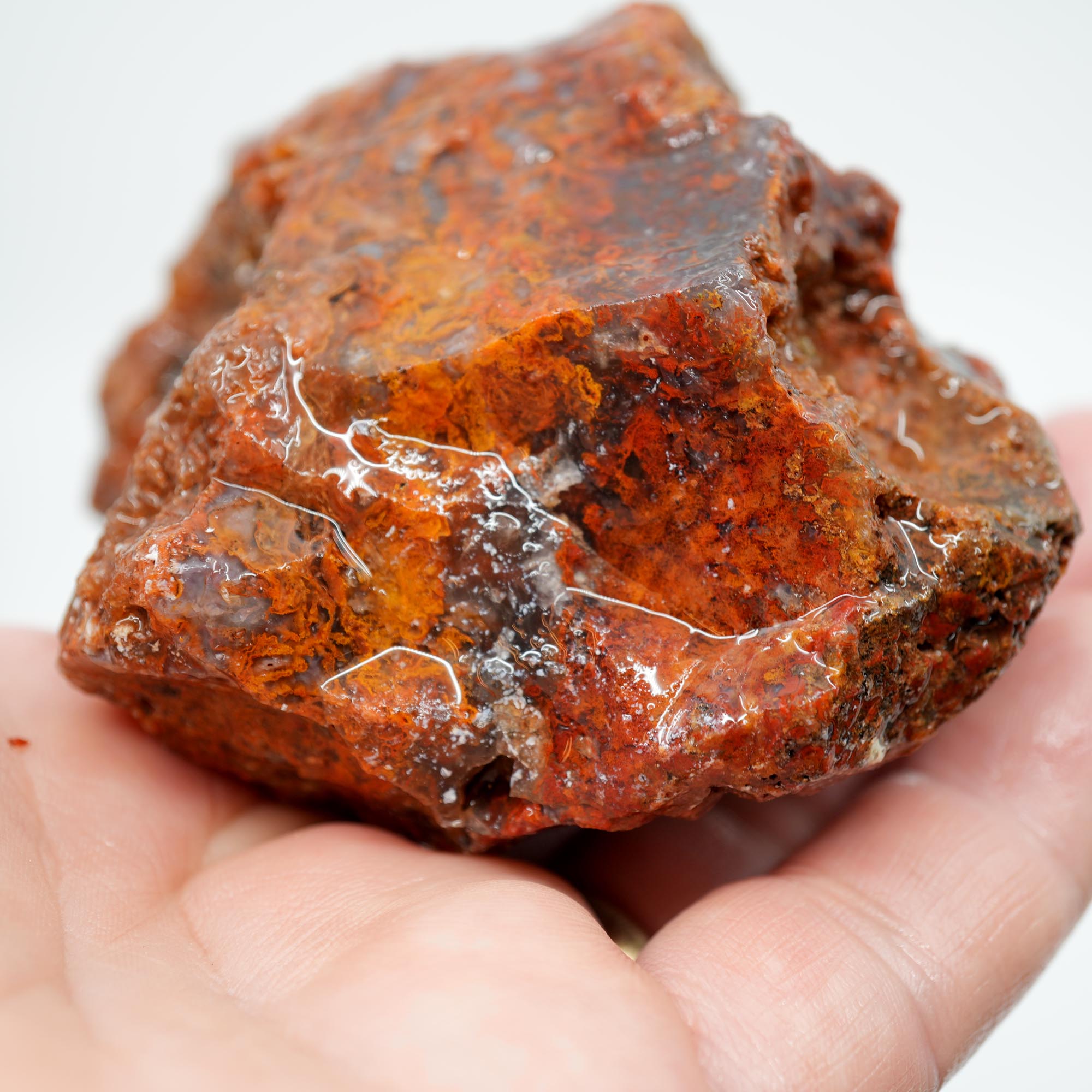 San Carlos Agate Rough - Orange Moss with Bright Red