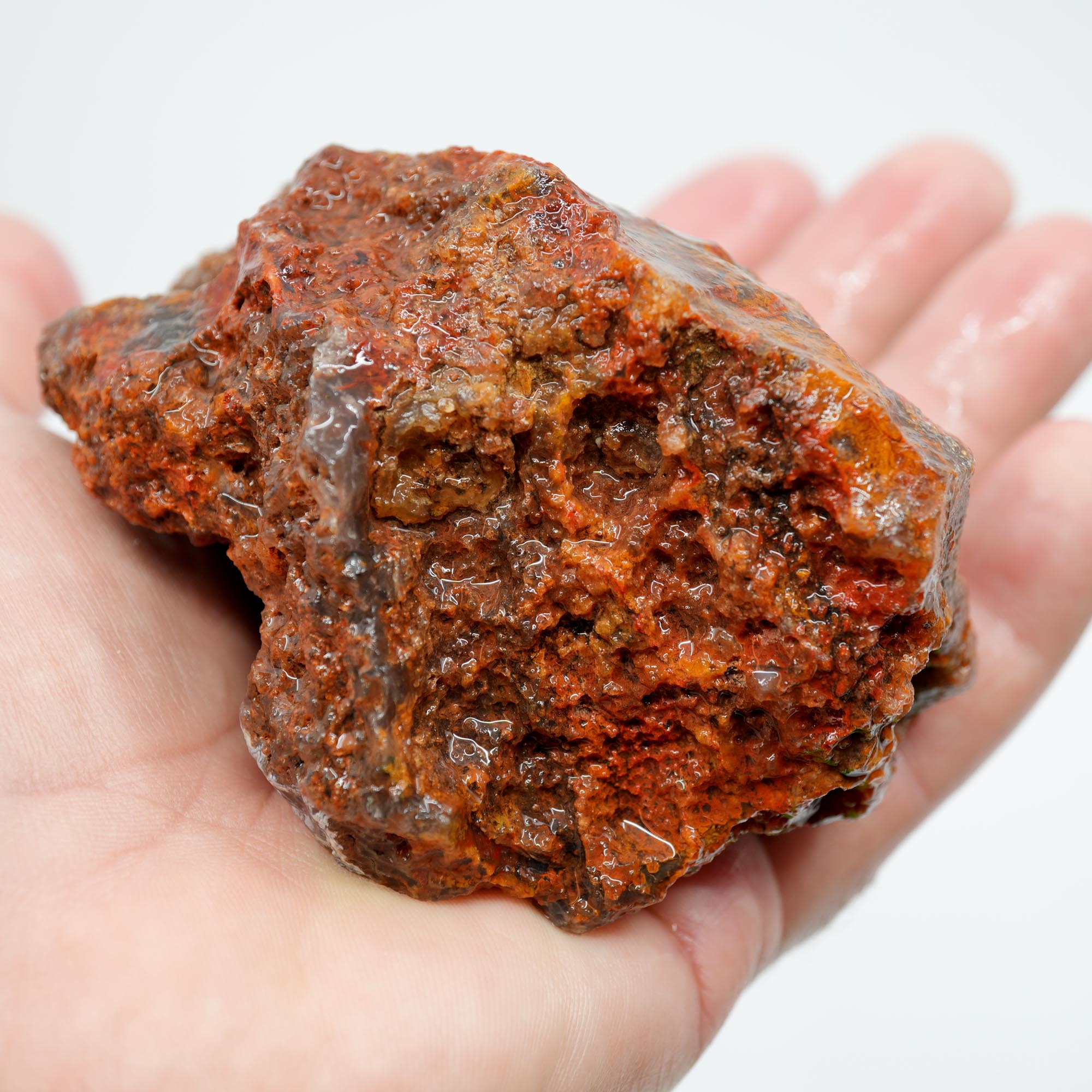 San Carlos Agate Rough - Orange Moss with Bright Red