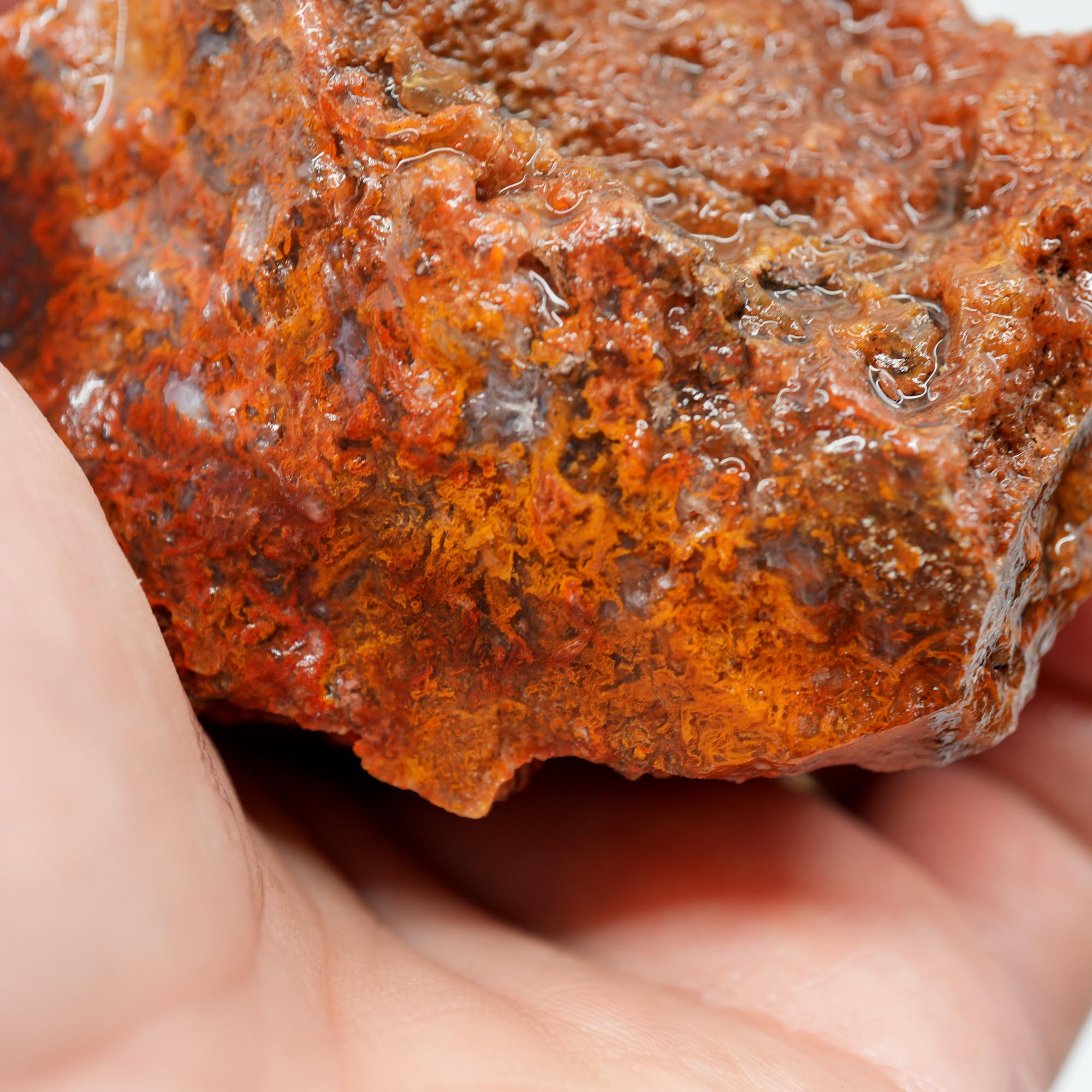 San Carlos Agate Rough - Orange Moss with Bright Red