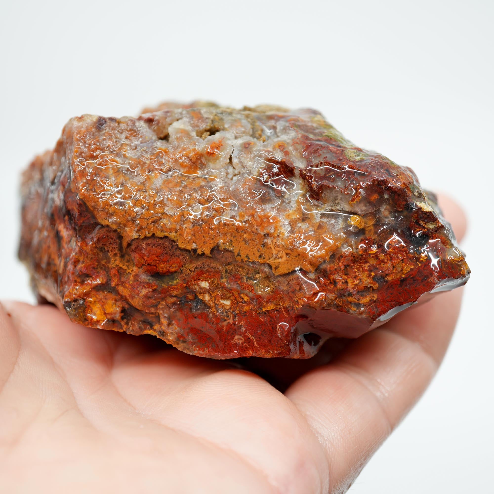 San Carlos Agate Rough - Bright Red with Alien Horizon Plumes
