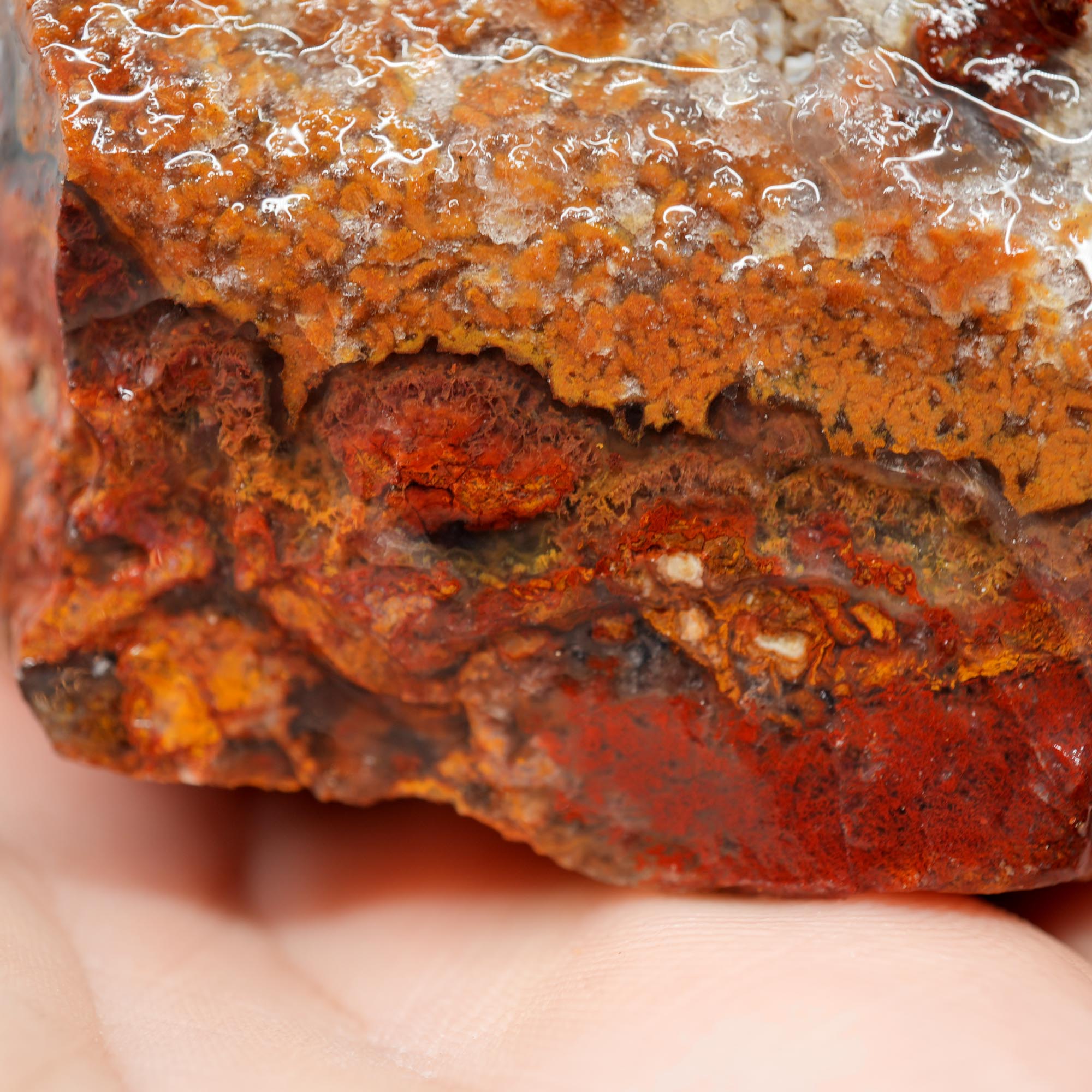 San Carlos Agate Rough - Bright Red with Alien Horizon Plumes
