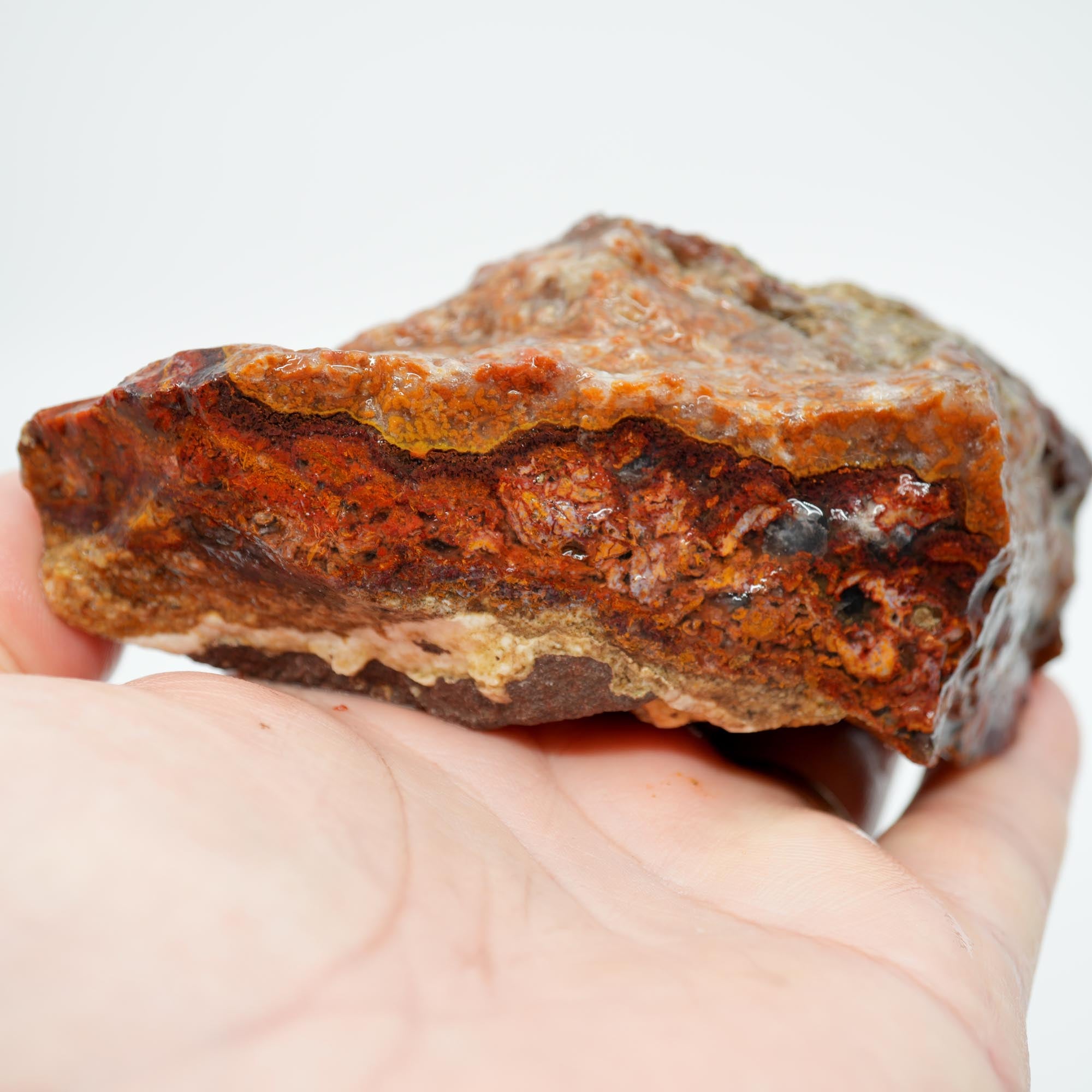 San Carlos Agate Rough - Bright Red with Alien Horizon Plumes