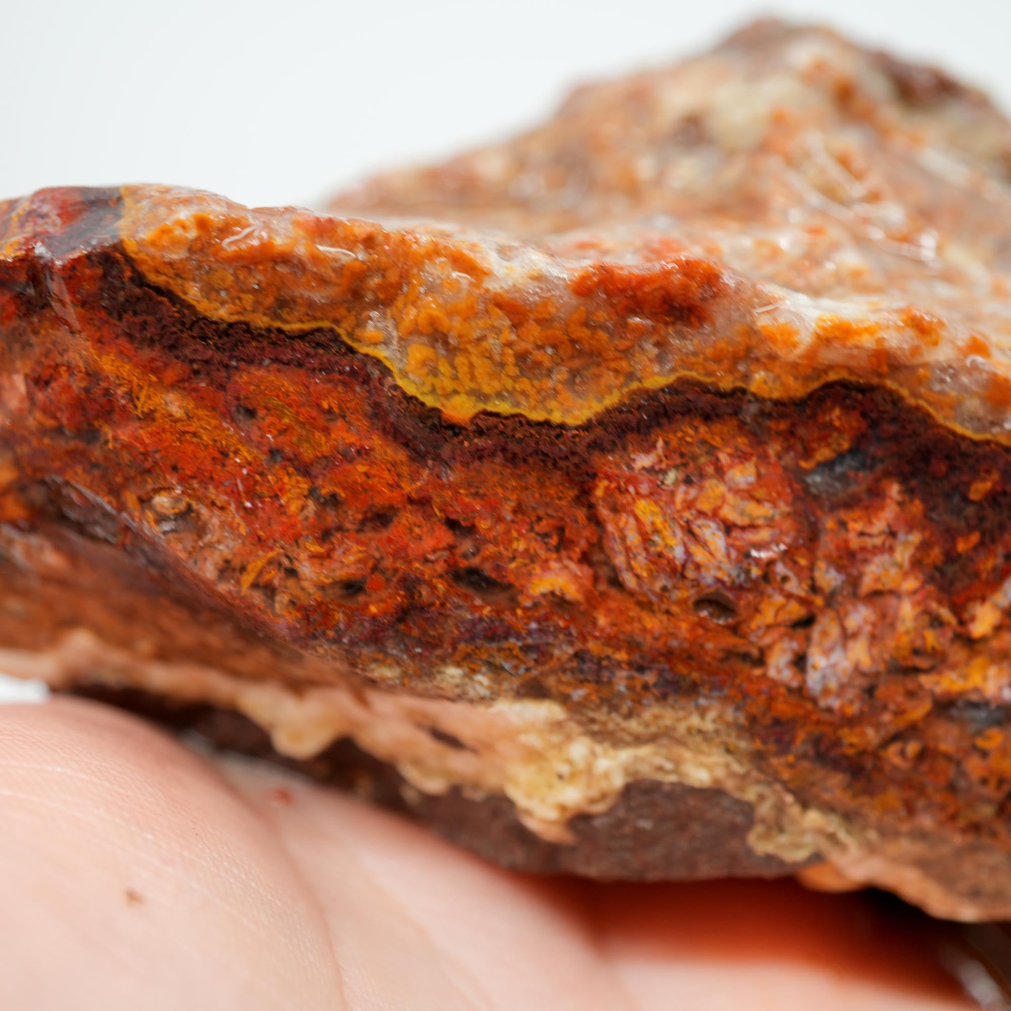 San Carlos Agate Rough - Bright Red with Alien Horizon Plumes