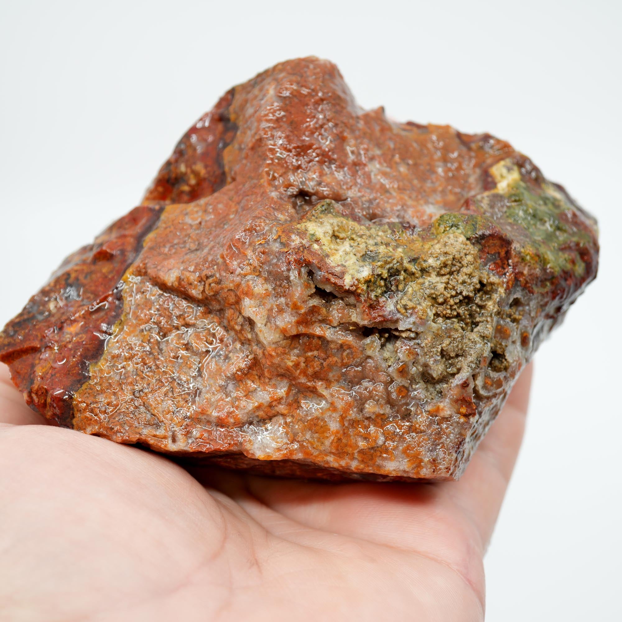 San Carlos Agate Rough - Bright Red with Alien Horizon Plumes