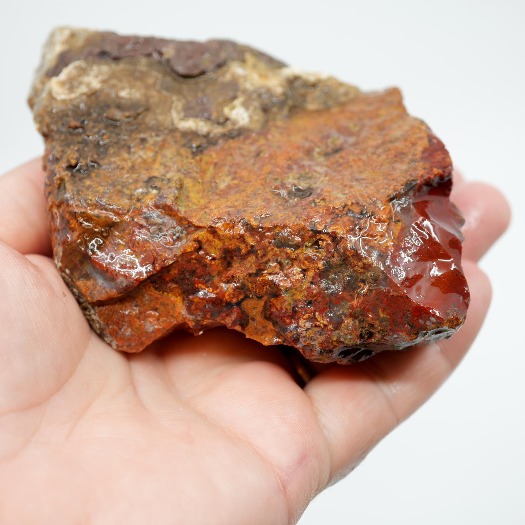 San Carlos Agate Rough - Bright Red with Alien Horizon Plumes