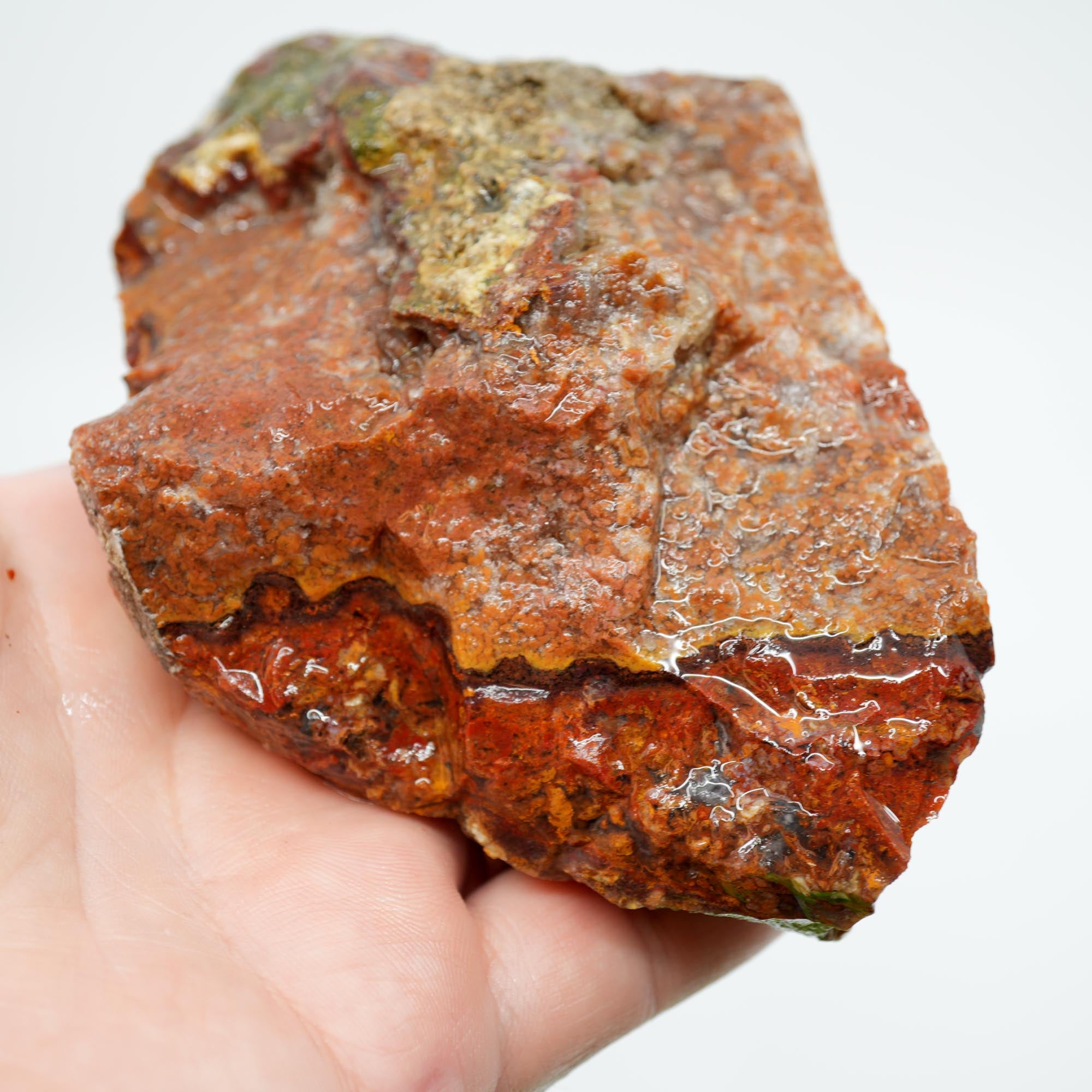 San Carlos Agate Rough - Bright Red with Alien Horizon Plumes