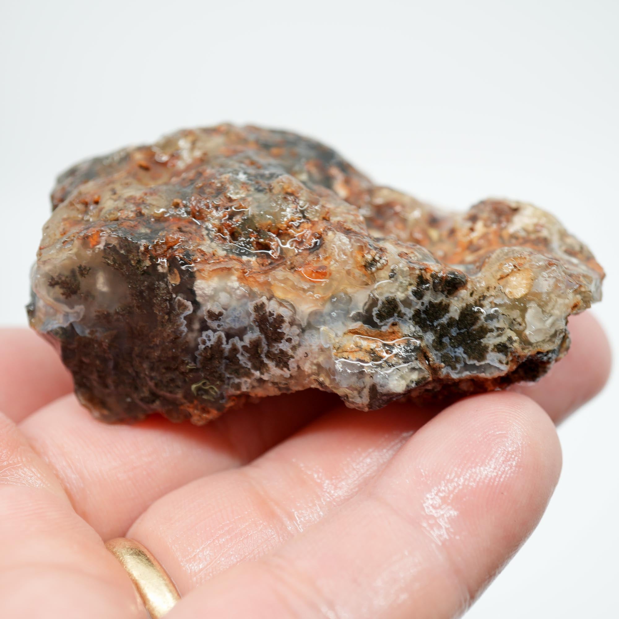 Ojinaga Plume Agate Rough - Black Plume in Light Blue Agate