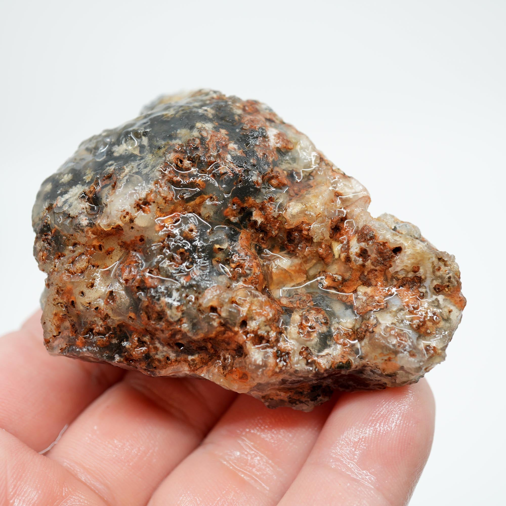 Ojinaga Plume Agate Rough - Black Plume in Light Blue Agate