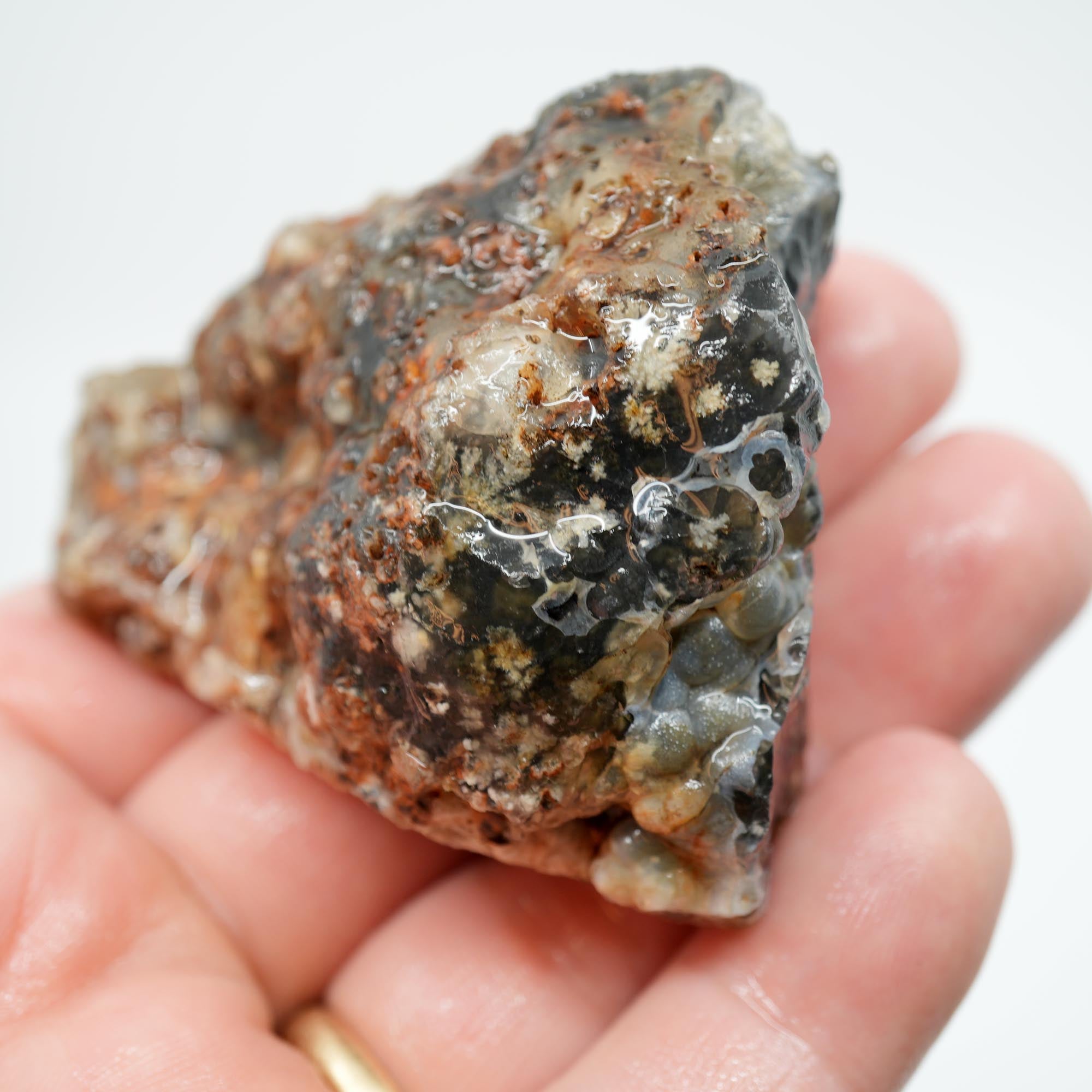 Ojinaga Plume Agate Rough - Black Plume in Light Blue Agate