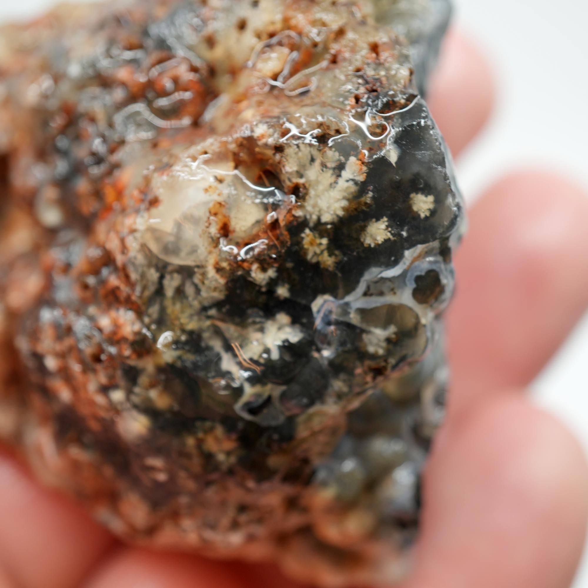 Ojinaga Plume Agate Rough - Black Plume in Light Blue Agate