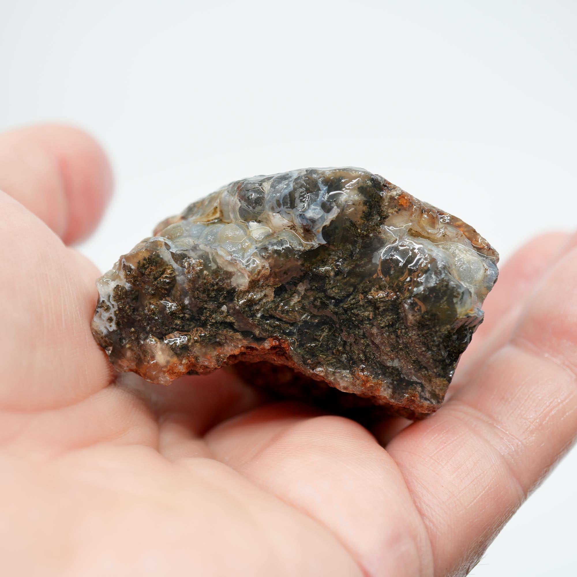 Ojinaga Plume Agate Rough - Black Plume in Light Blue Agate