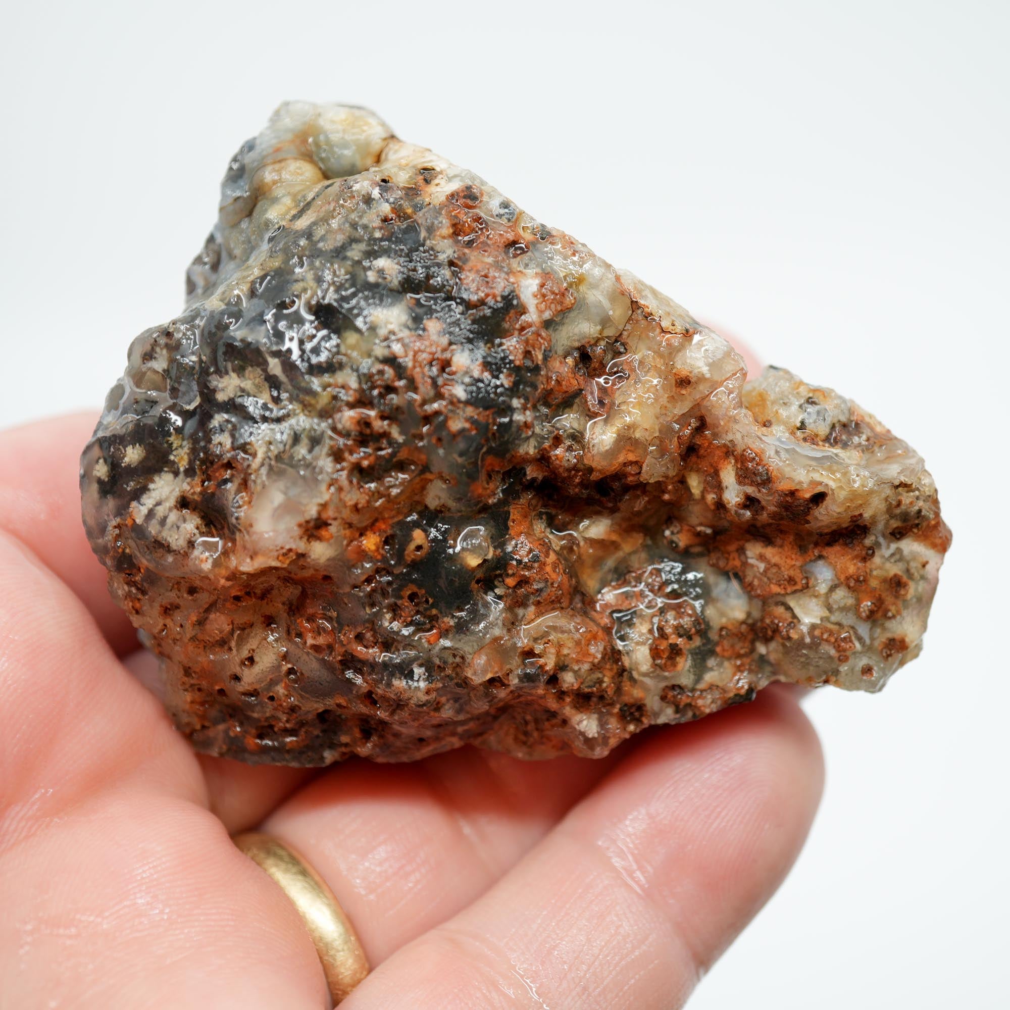 Ojinaga Plume Agate Rough - Black Plume in Light Blue Agate