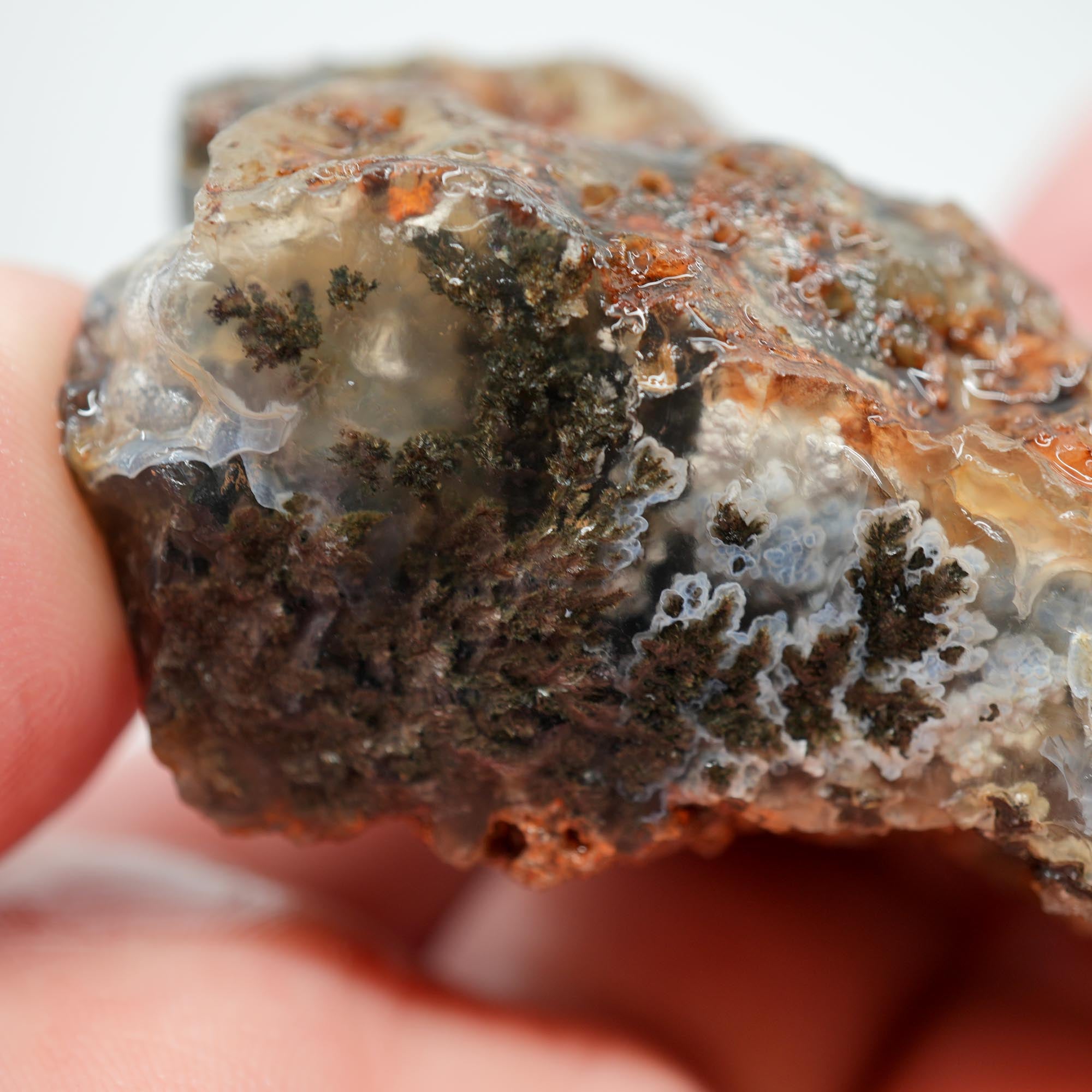 Ojinaga Plume Agate Rough - Black Plume in Light Blue Agate