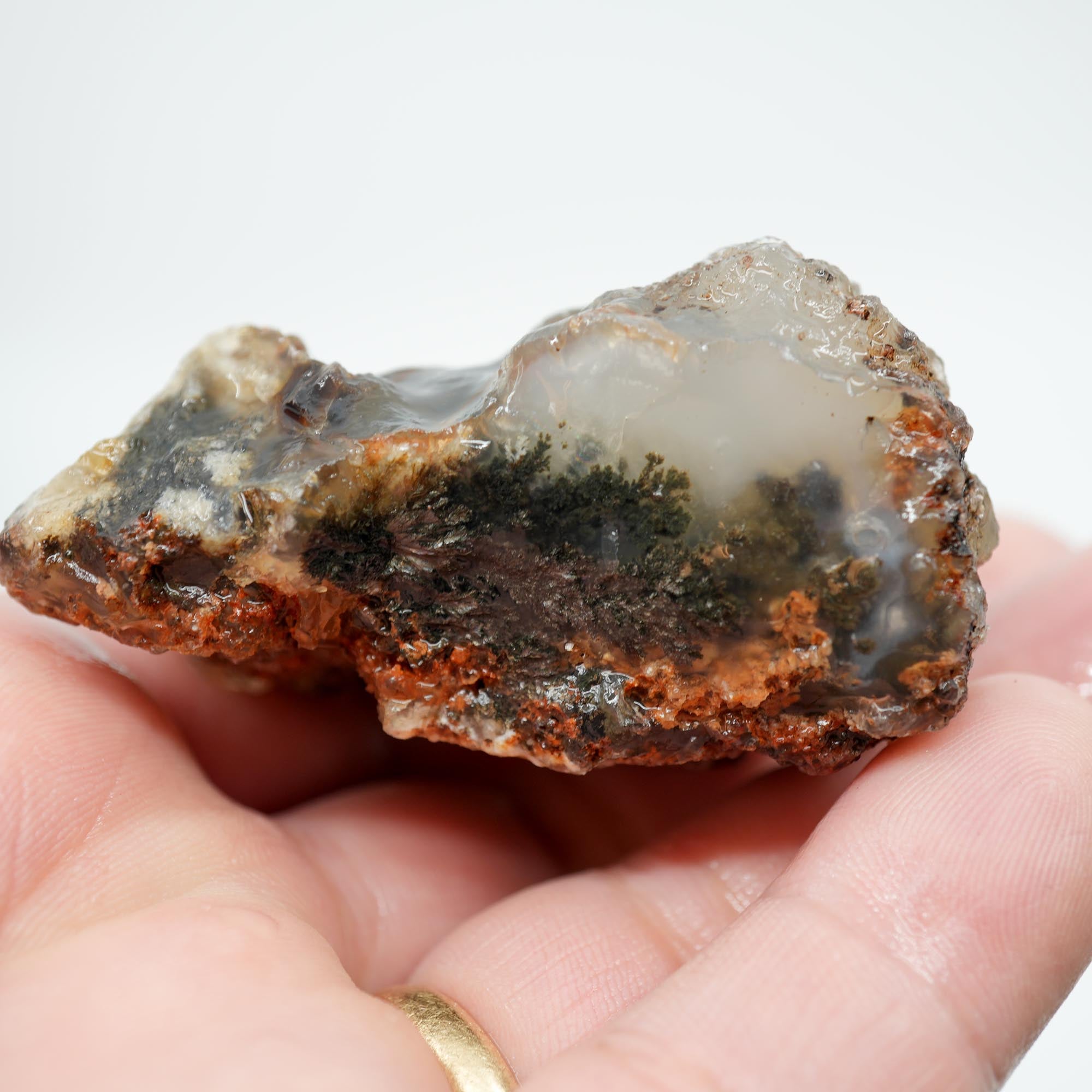 Ojinaga Plume Agate Rough - Black and Wispy White Plume